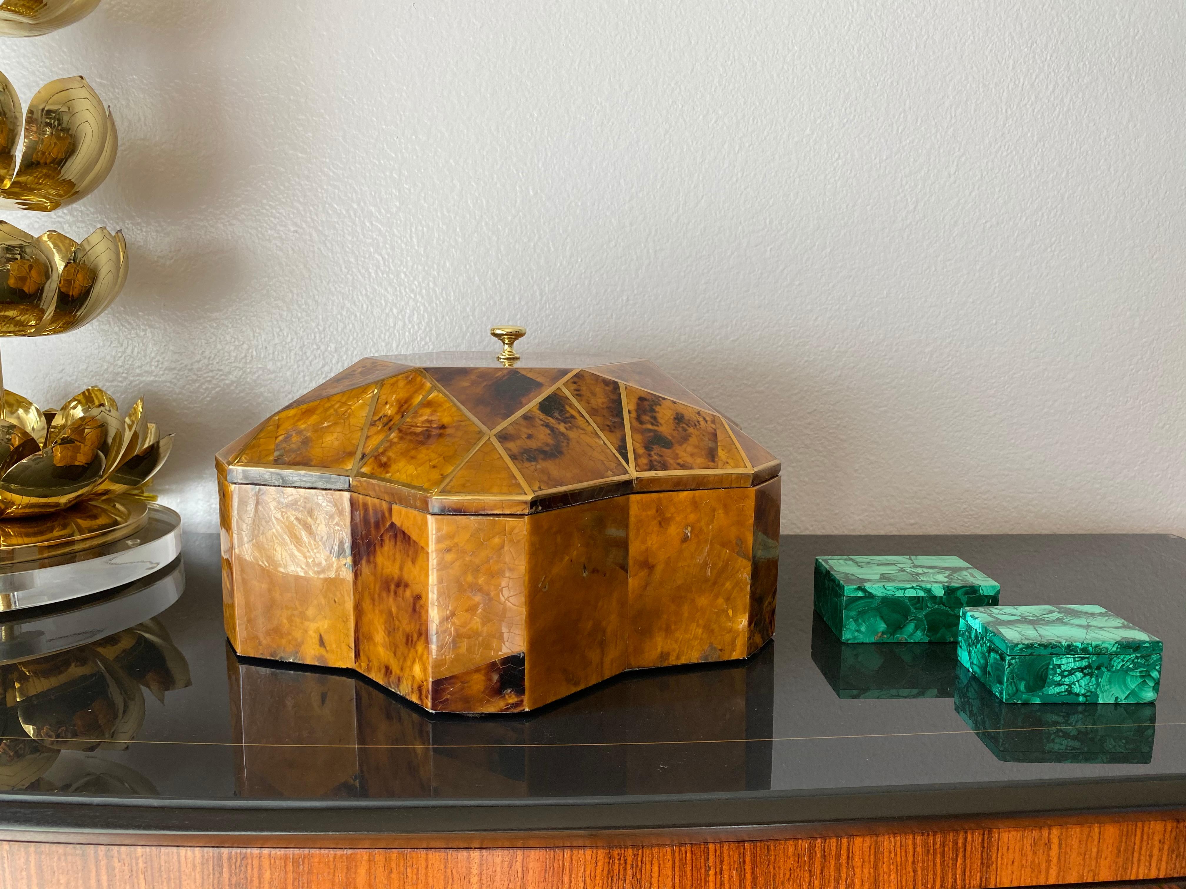 Tessellated Pen Shell and Brass Jewelry Box 6