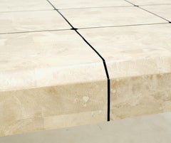 Tessellated Stone Fossil Top Brass Inlay Square Coffee Table on Cabriole Legs