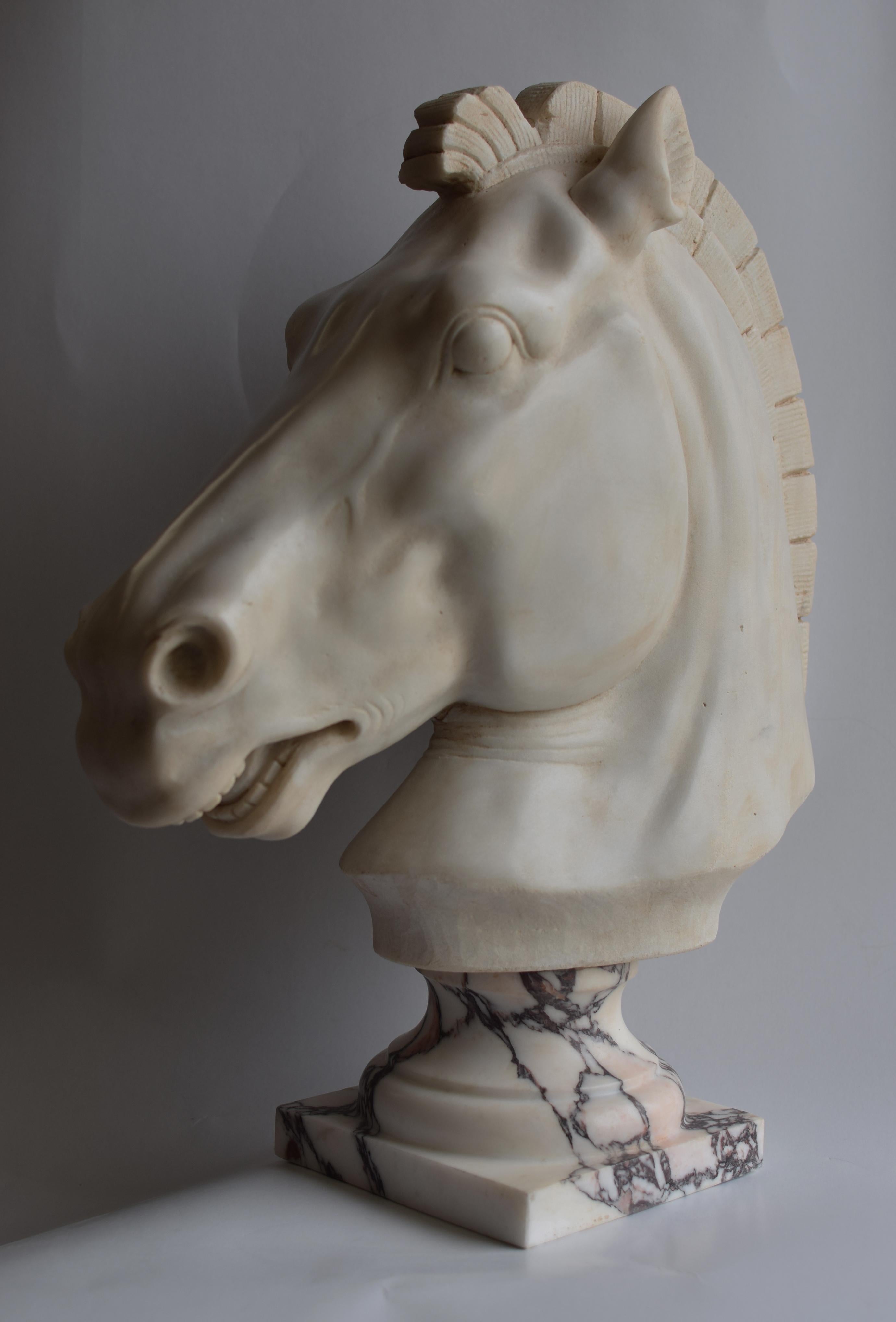 Grec classique Testa cavallo Grecia classica in marmo bianco di Carrara en vente