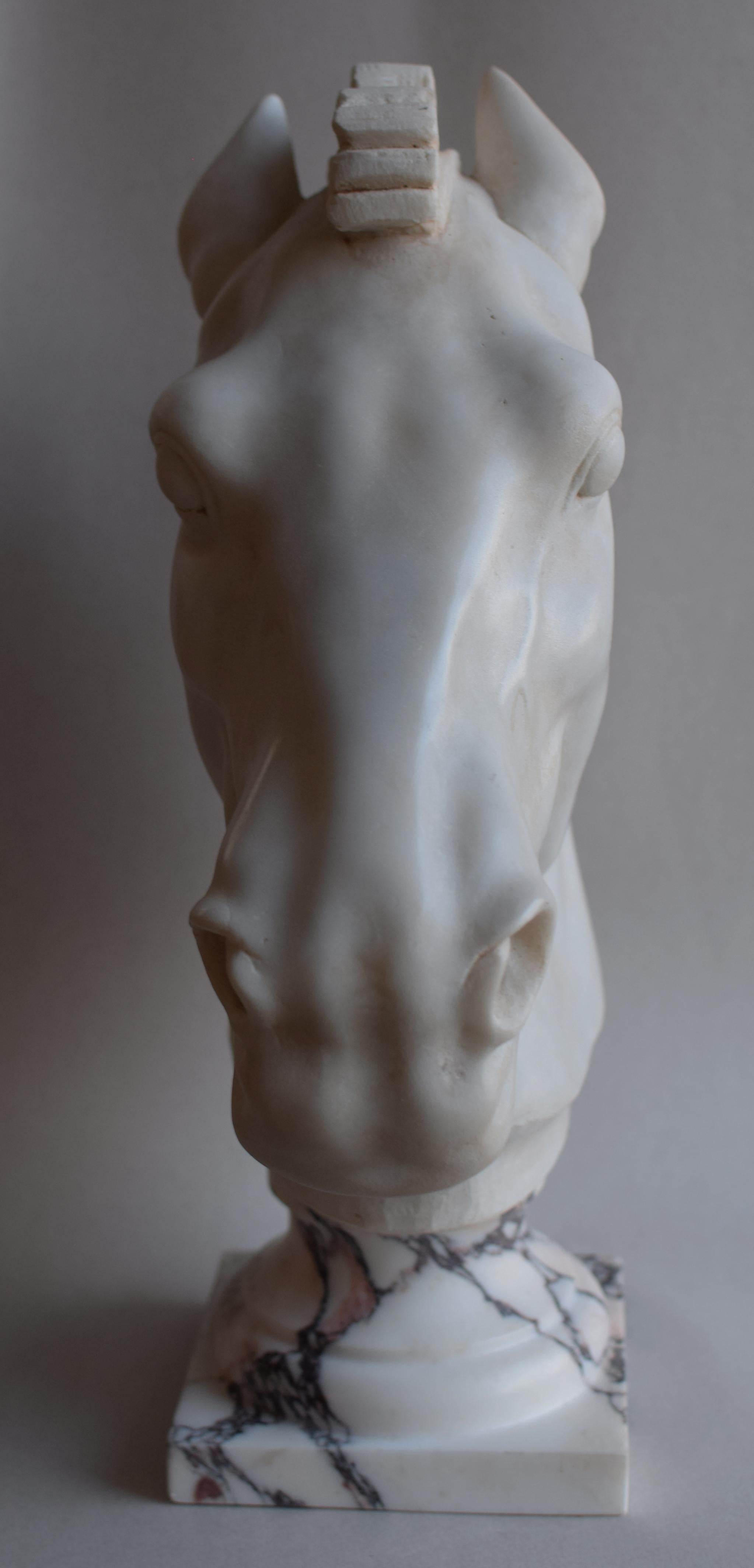 Testa cavallo Grecia classica in marmo bianco di Carrara Excellent état - En vente à Tarquinia, IT