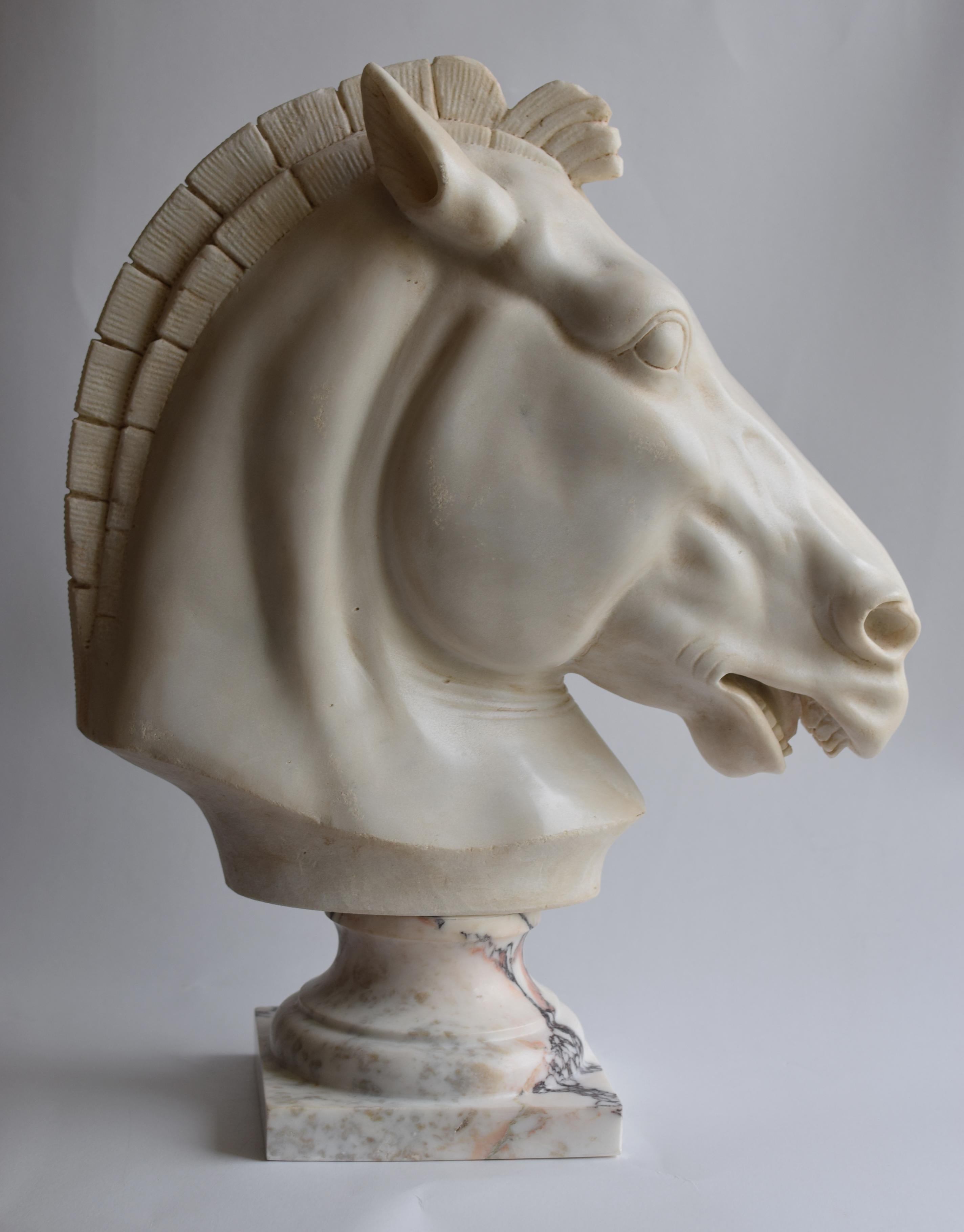 Late 20th Century Testa cavallo Grecia classica in marmo bianco di Carrara en vente