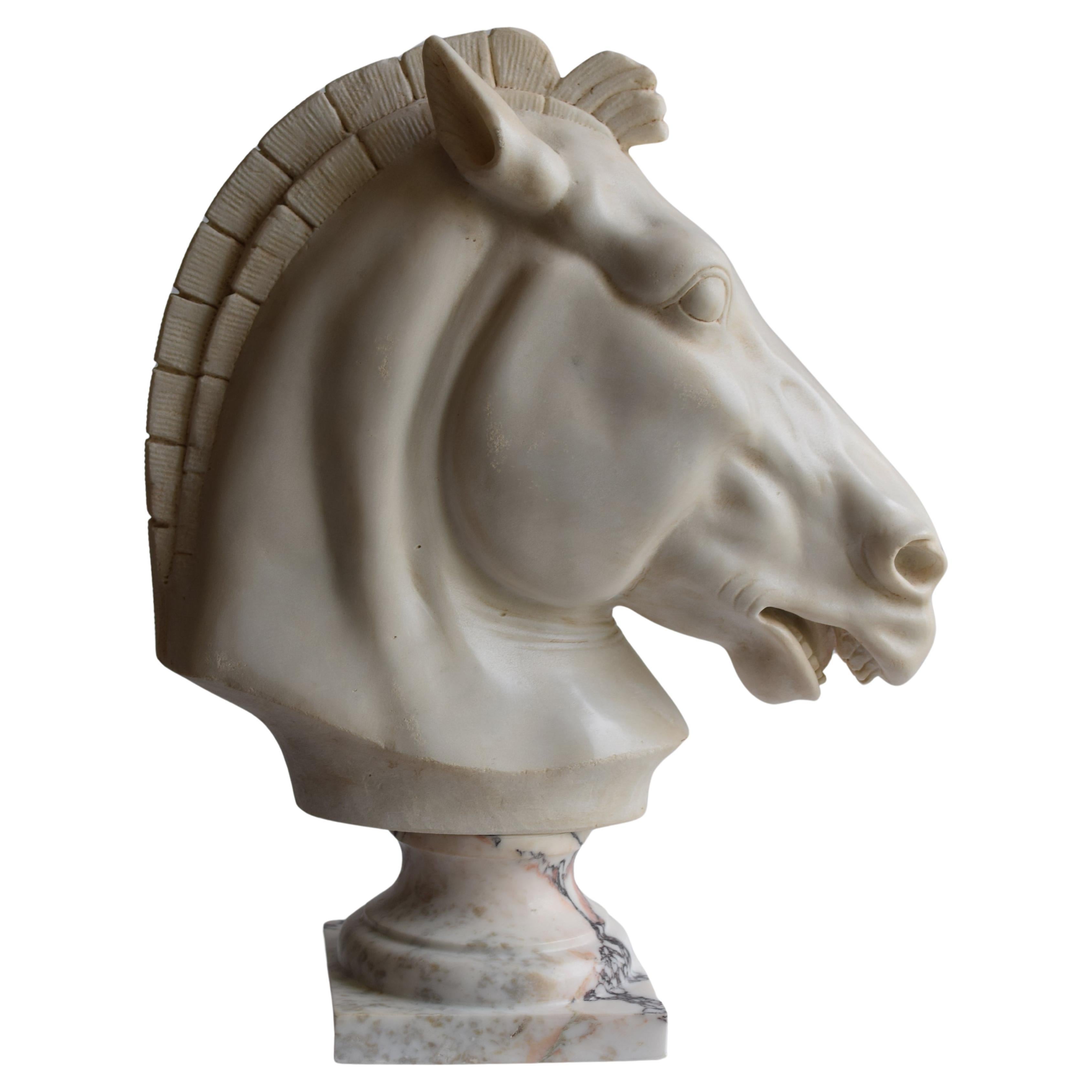 Testa cavallo Grecia classica in marmo bianco di Carrara For Sale