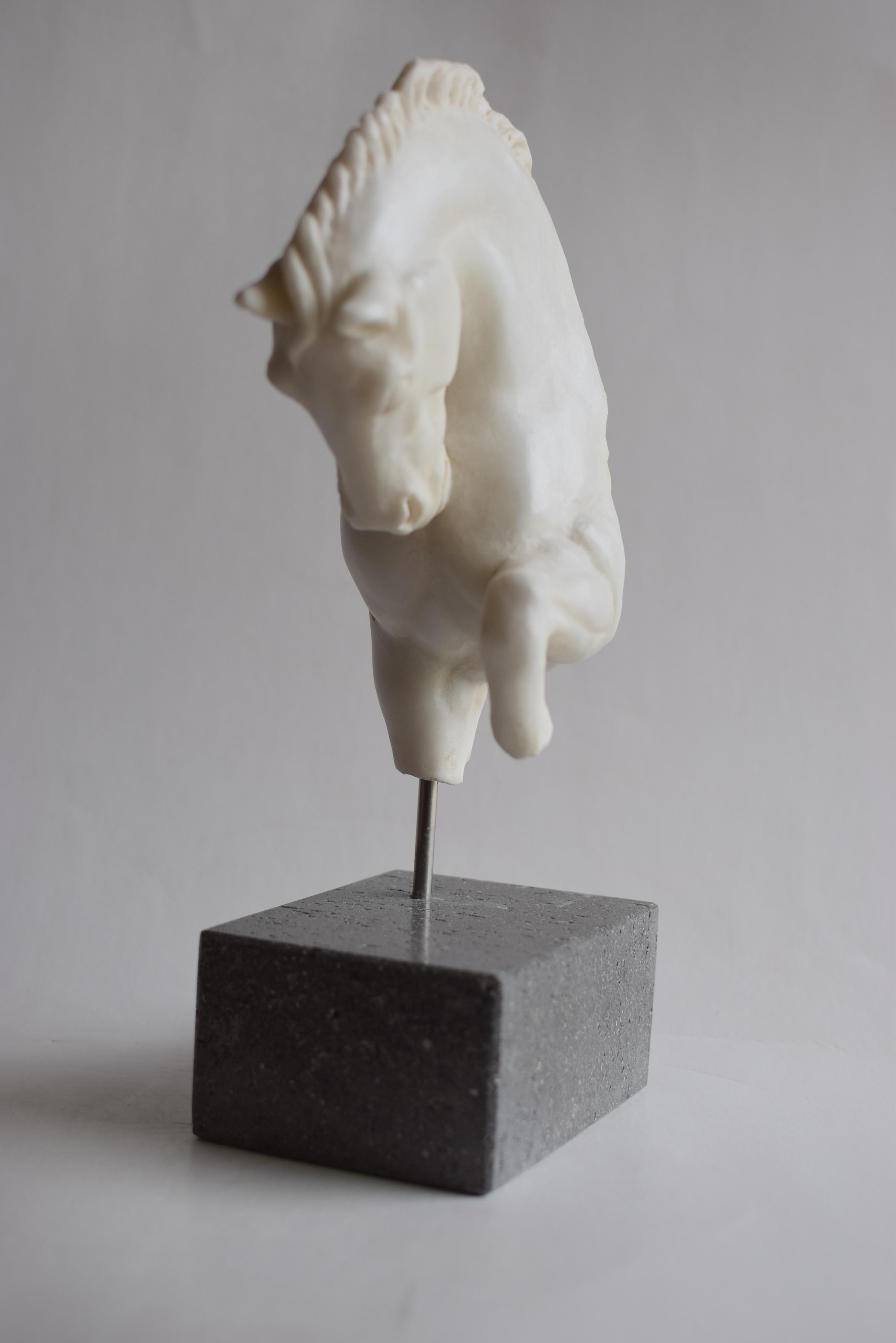 Romain classique Tête de cheval avançant -fragment- marbre blanc de carrare -fabriqué en Italie en vente