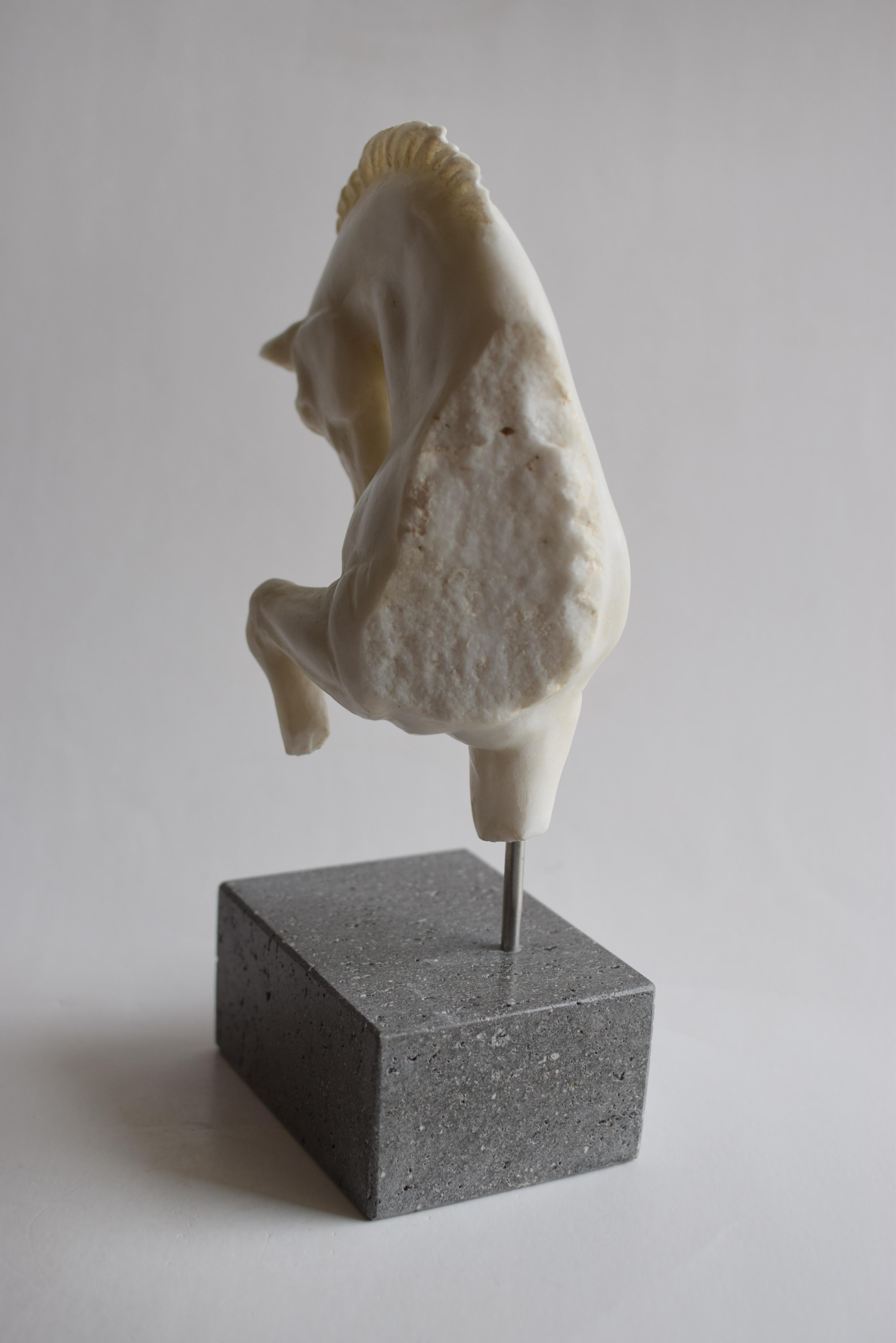 Hand-Crafted Horse head walking -fragment- white marble from carrara -made in Italy For Sale