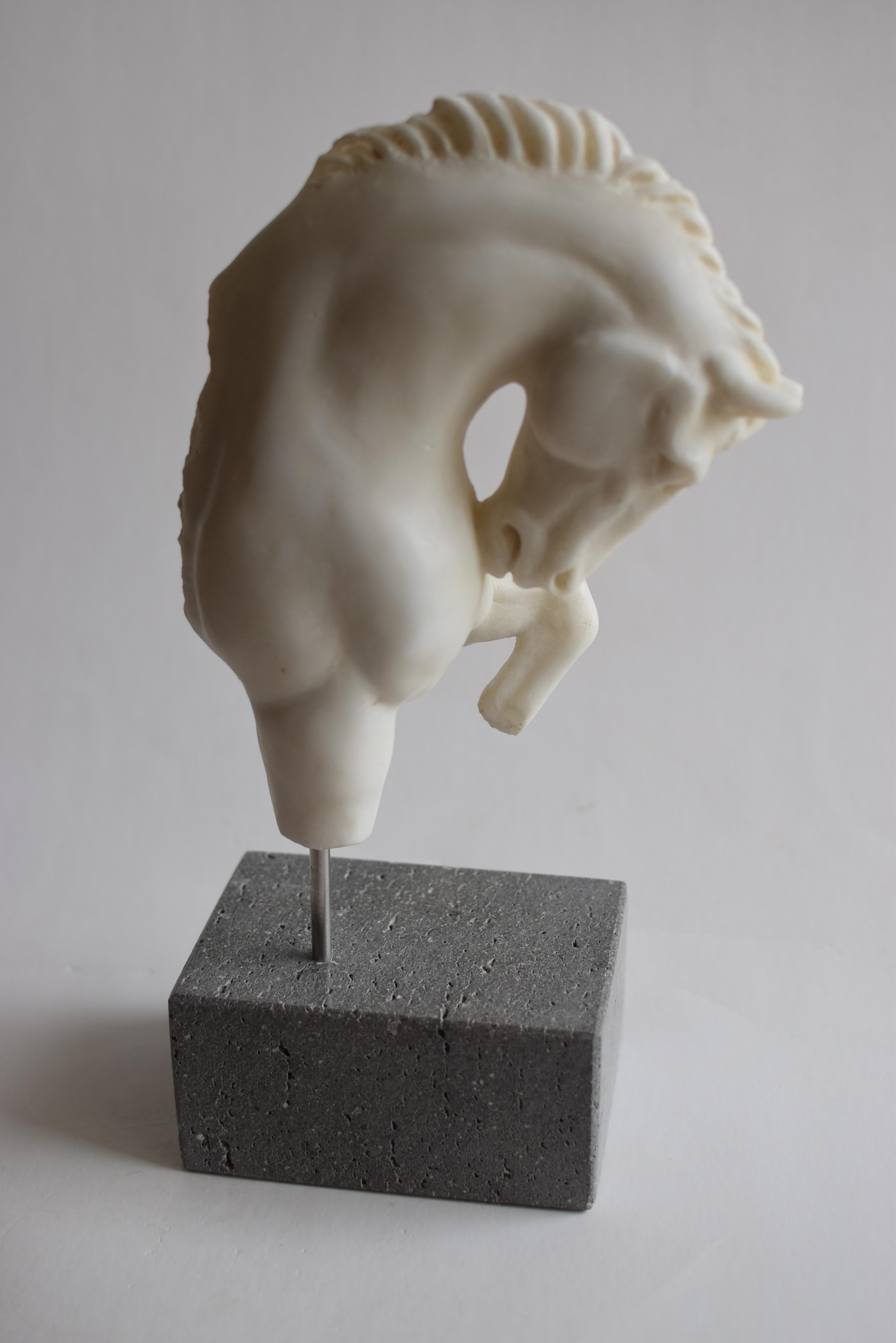 Horse head walking -fragment- white marble from carrara -made in Italy In Good Condition For Sale In Tarquinia, IT