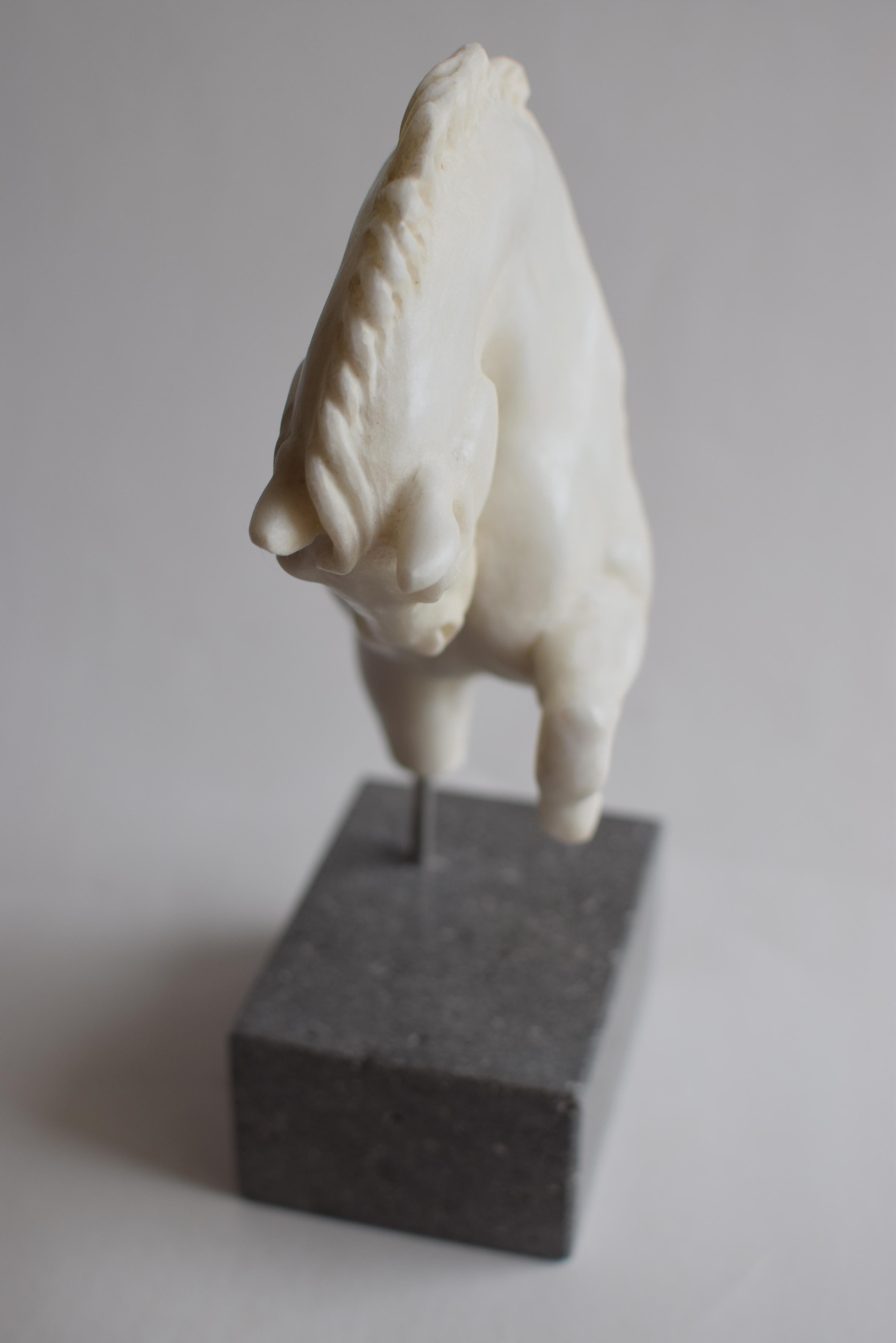 Late 20th Century Horse head walking -fragment- white marble from carrara -made in Italy For Sale