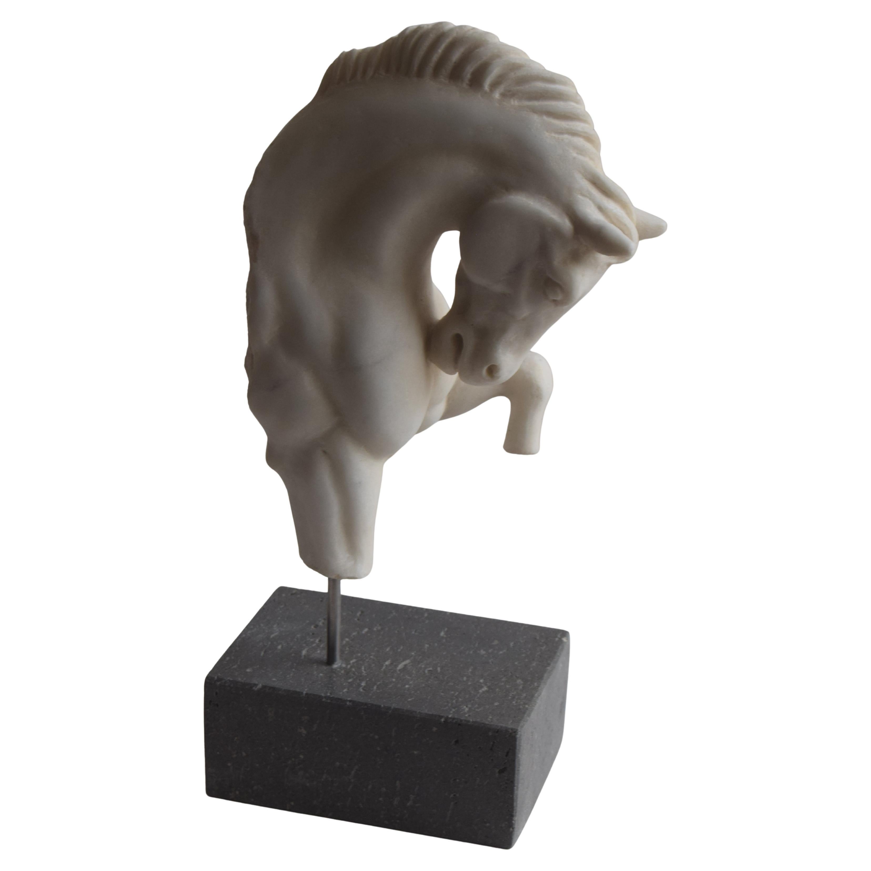 Testa di cavallo che incede -frammento- marmo bianco di carrara -made in Italy