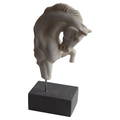 Testa di cavallo che incede -frammento- marmo bianco di carrara -made in Italy