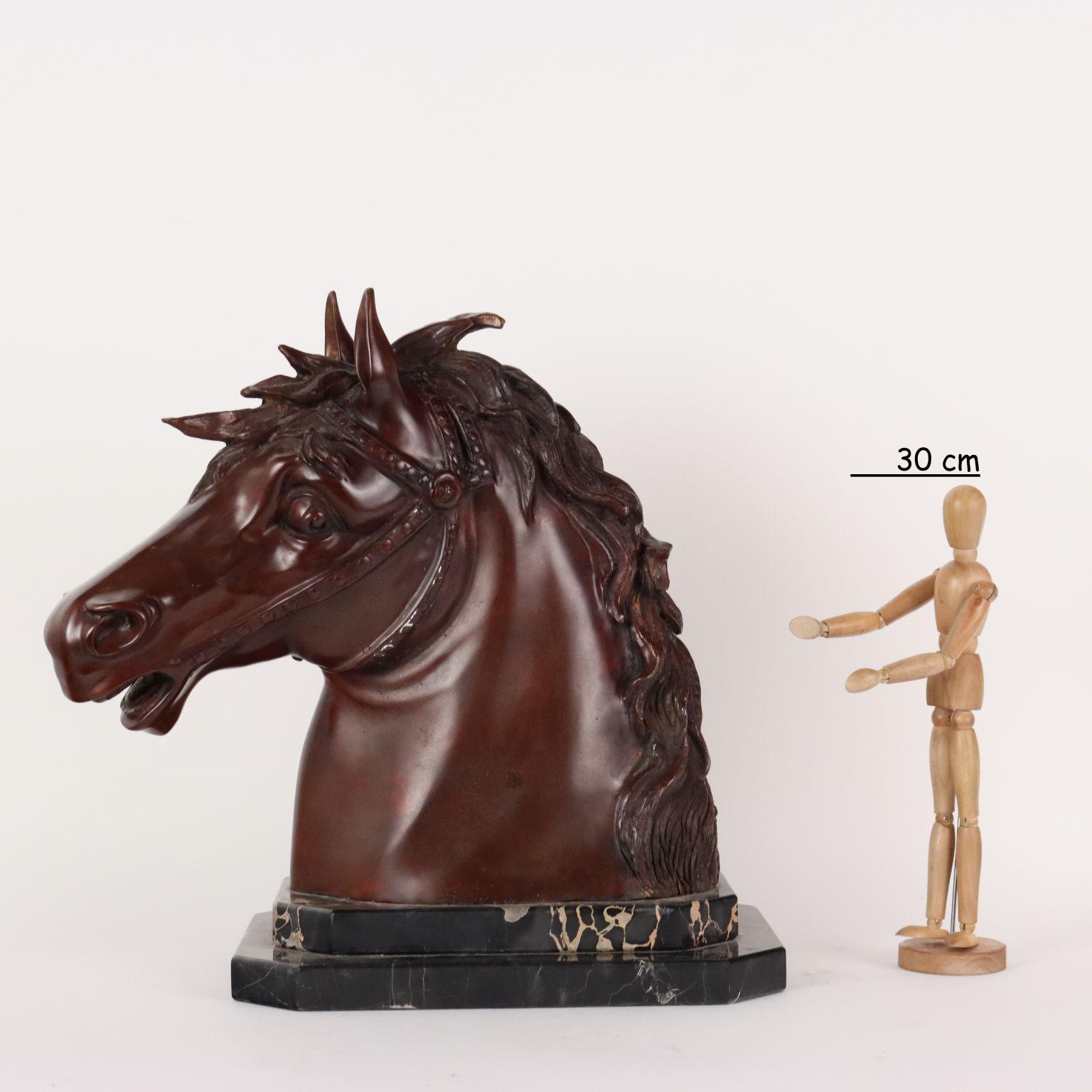 Scultura in bronzo raffigurante testa di cavallo con cavezza. Base a doppio gradino in marmo nero. Firma dell'autore incisa alla base.
