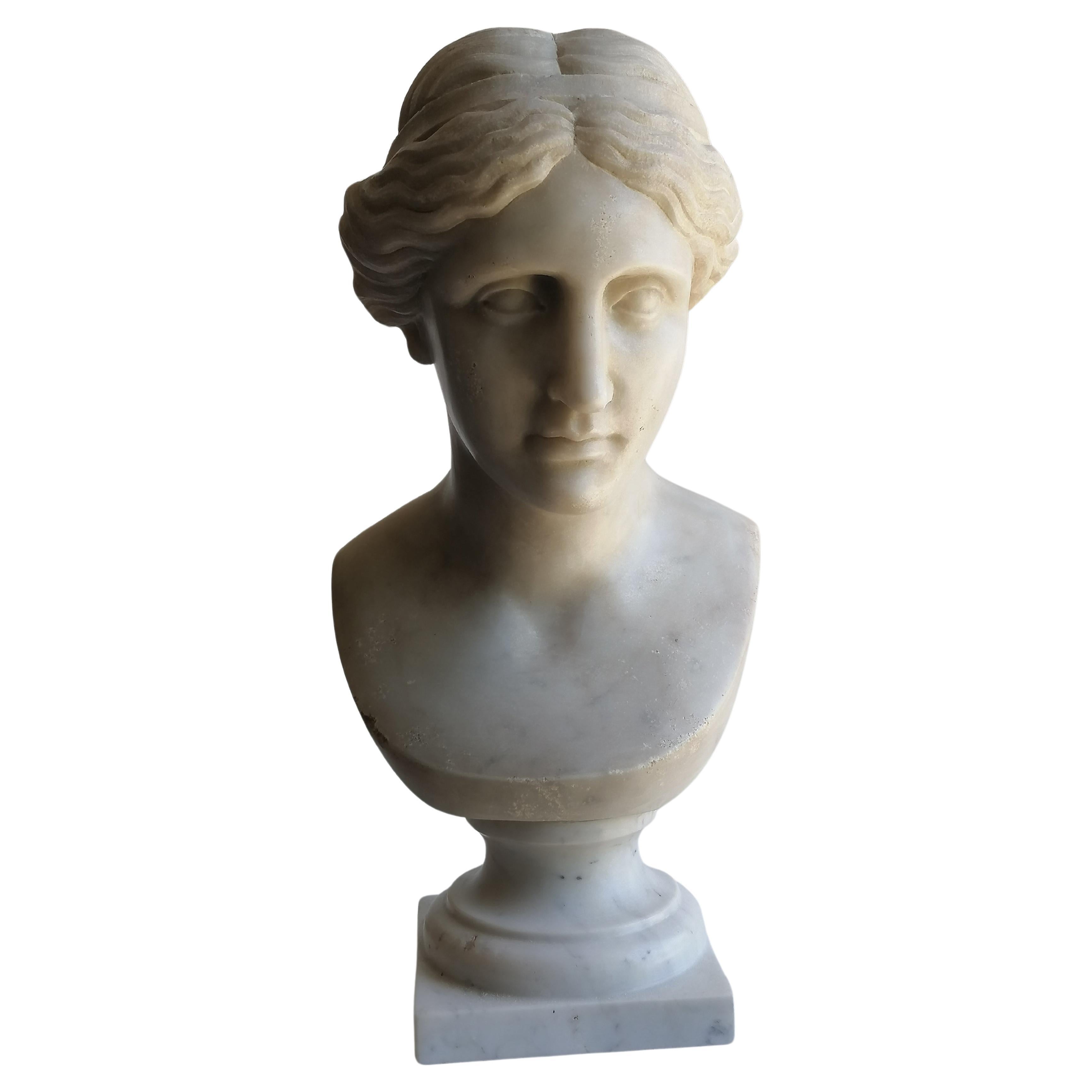Tête de Vénus sculptée sur marbre blanc de Carrare - fragment - fabriqué en Italie en vente