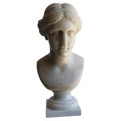 Tête de Vénus sculptée sur marbre blanc de Carrare - fragment - fabriqué en Italie