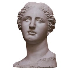 Testa Venere di Milo Sculpture