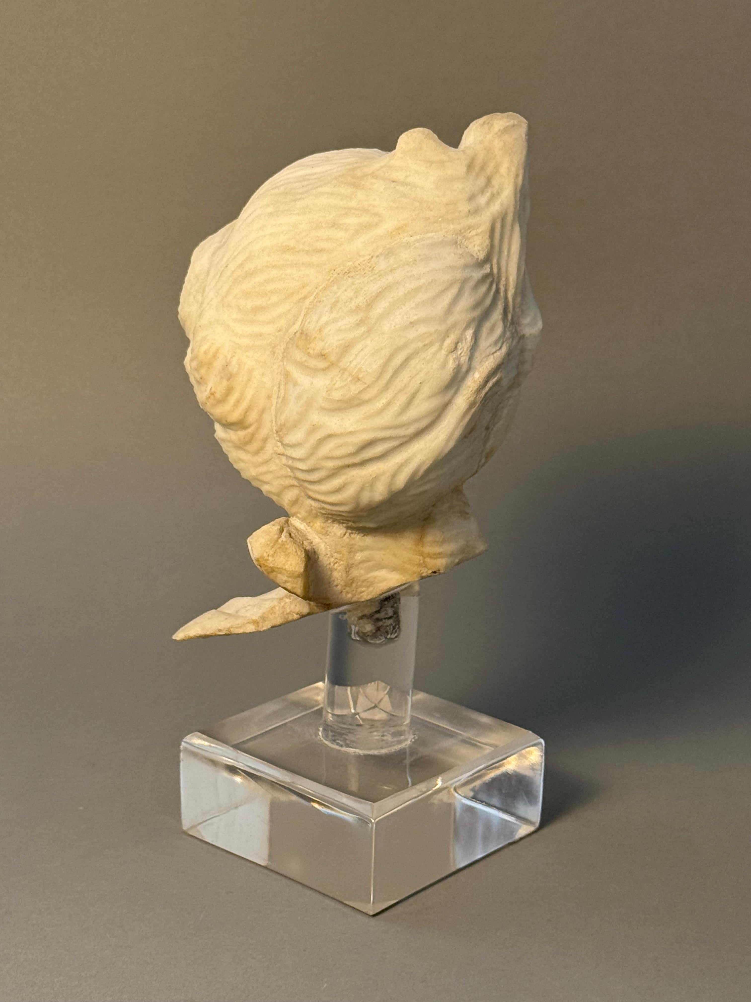 Fino al XVIII secolo Testina in marmo neoclassica - periodo XVIII secolo in vendita