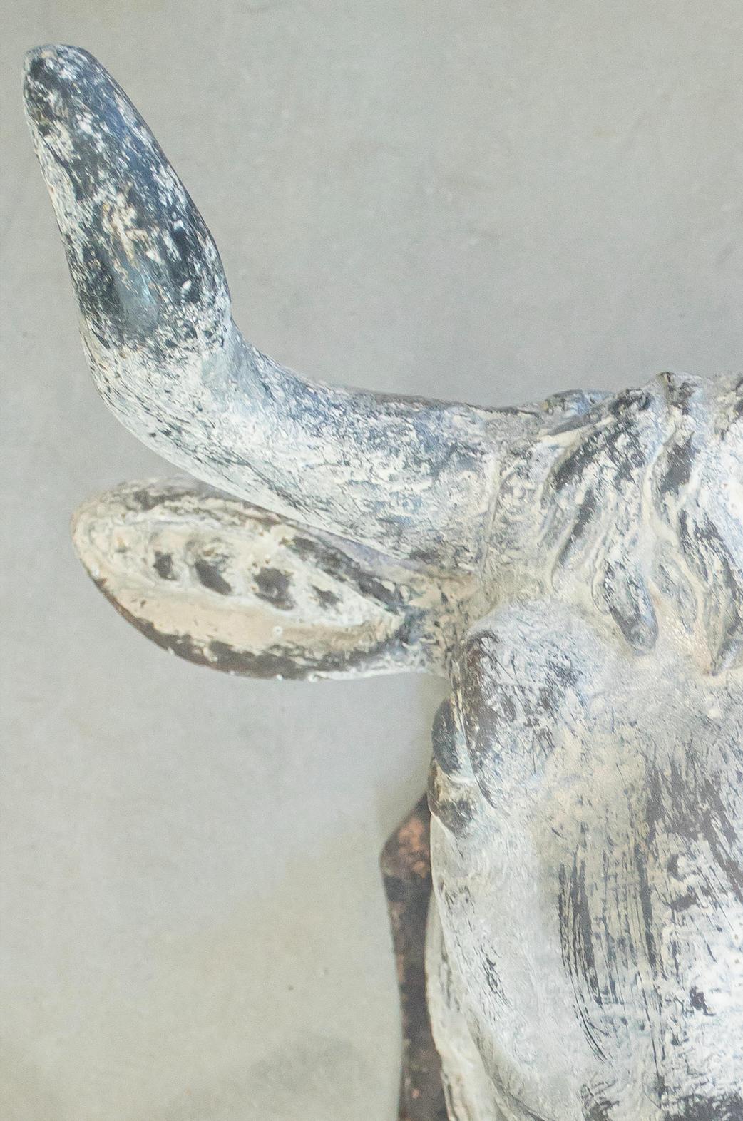 Tete de Taureau Francés en venta