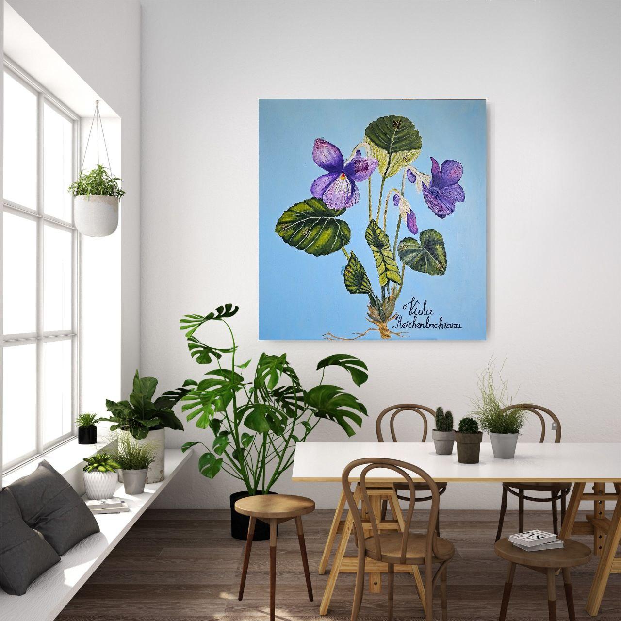 La viola della nonna in vendita 7
