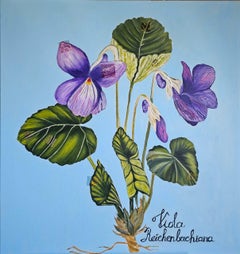 Grandmother's viola