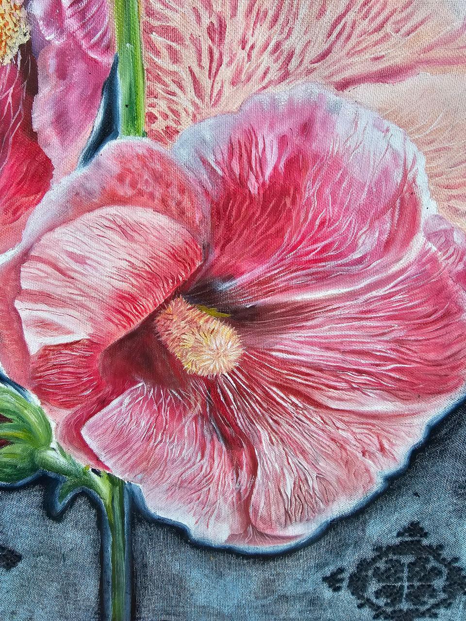 Malva in vendita 3