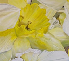 The code of spring