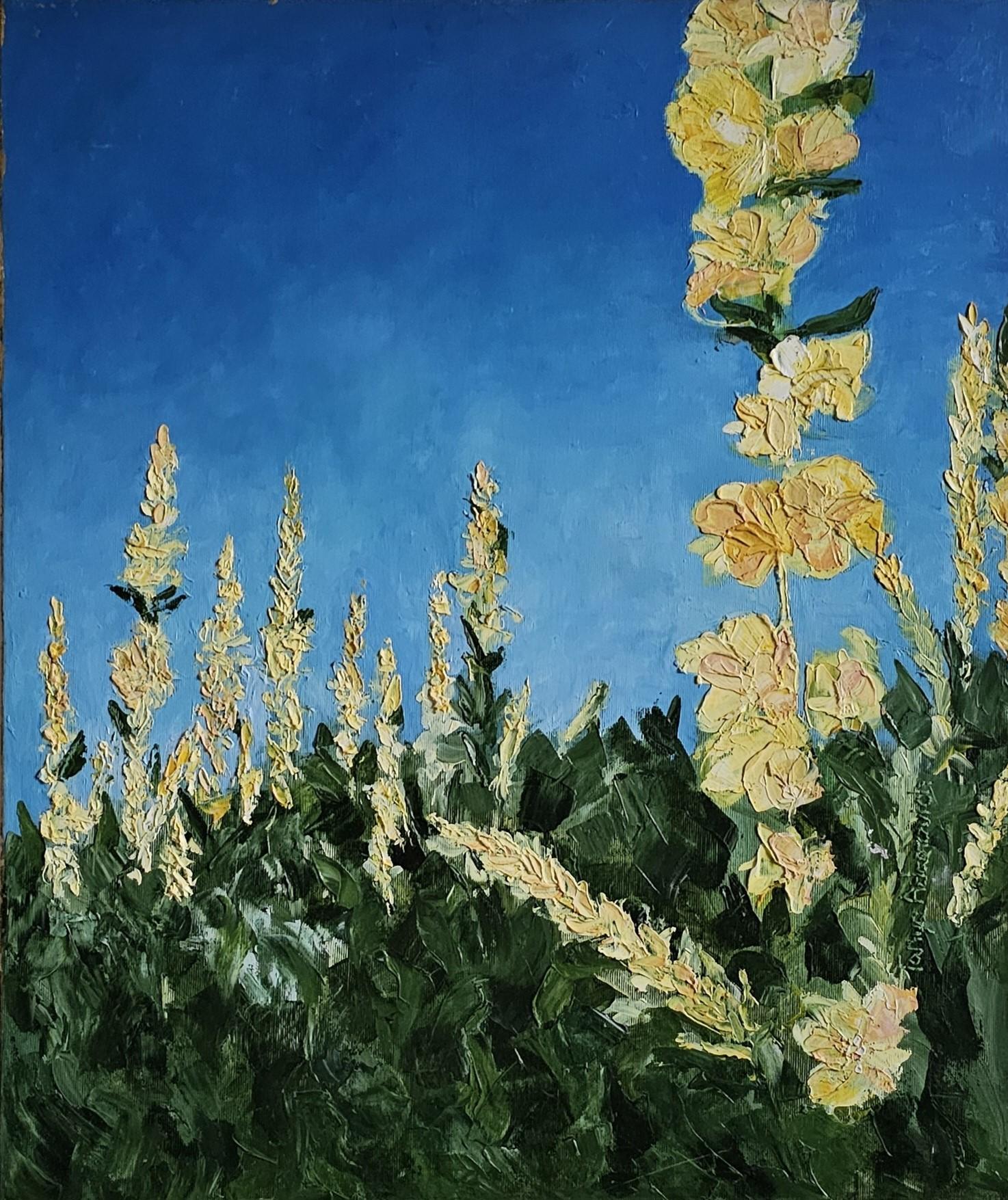 Verbascum im Angebot 10