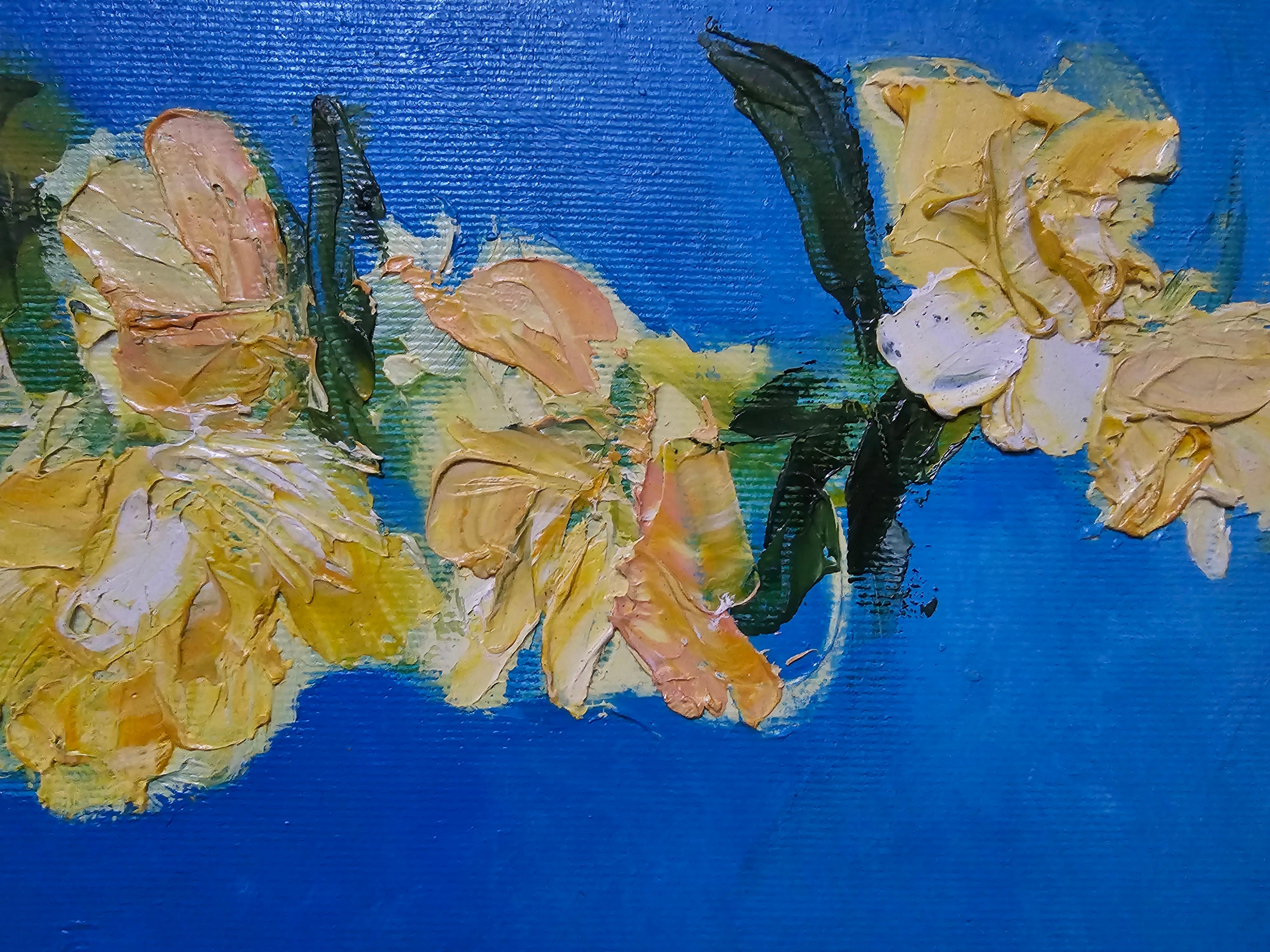 Verbascum im Angebot 1