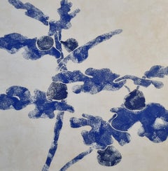 Blu Fig 2