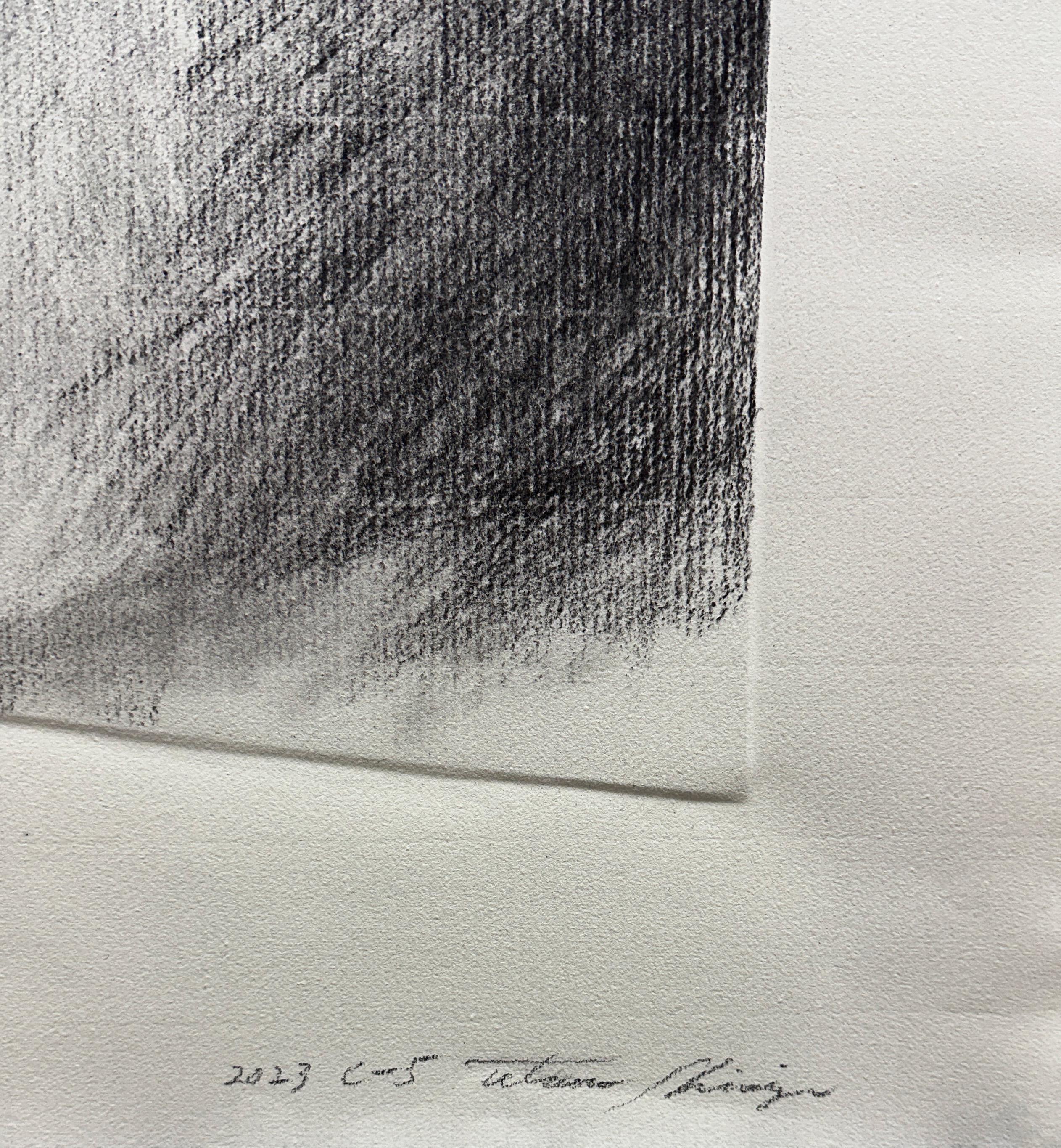 C -  5 - Gray Abstract Drawing par Tetsuro Shimizu