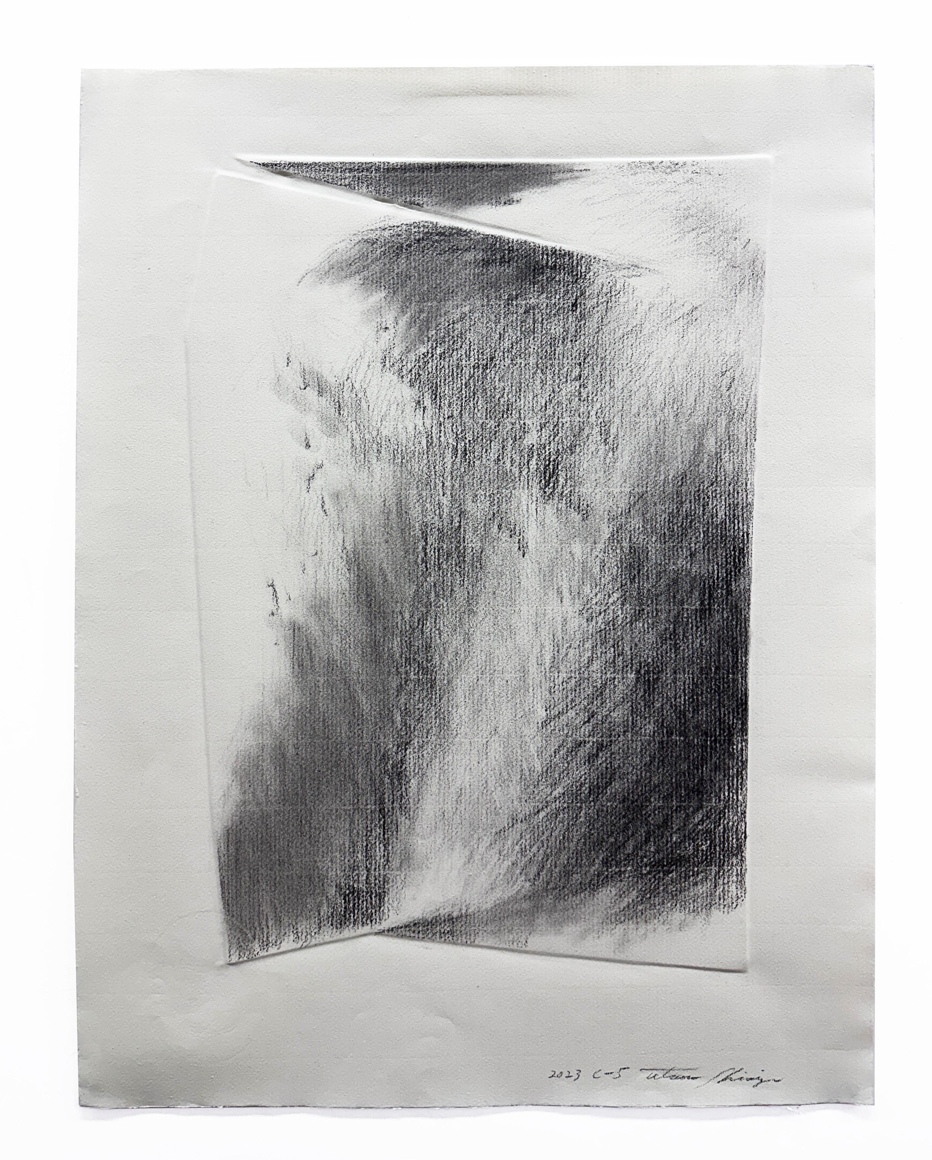 Tetsuro Shimizu Abstract Drawing – C -  5