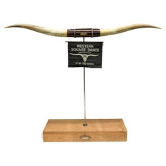 Texas Longhorn Trophy Mount