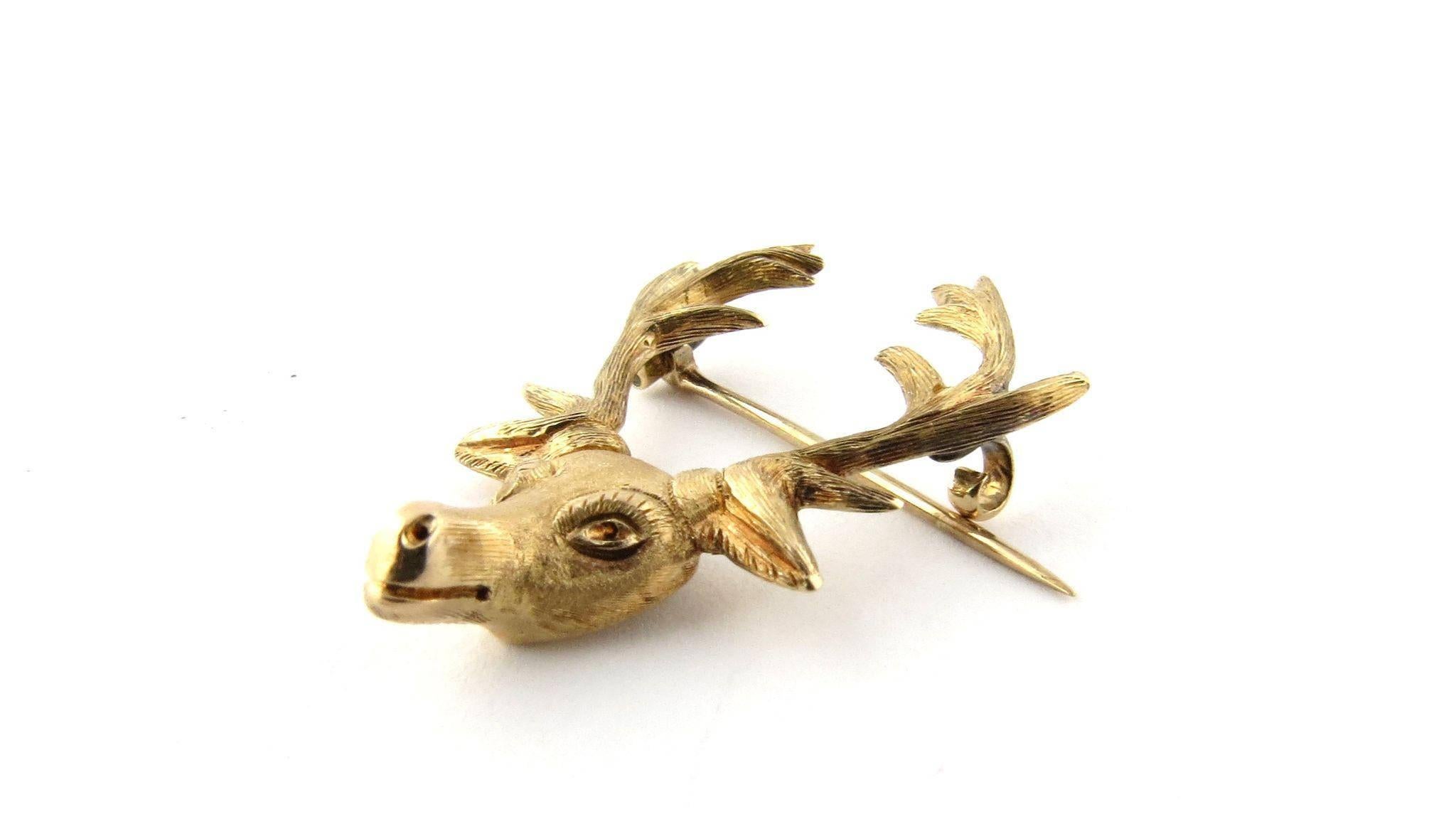 Vintage Textured 14K Yellow Gold Stag Head Pin. 

Narrow nosed matted deer head with lined antlers and eyelashes make this an interesting piece. Curled C clasp on back holds the pin in place. 

Tested for purity and stamped 14K. Weighs 3.9g, 2.5dwt