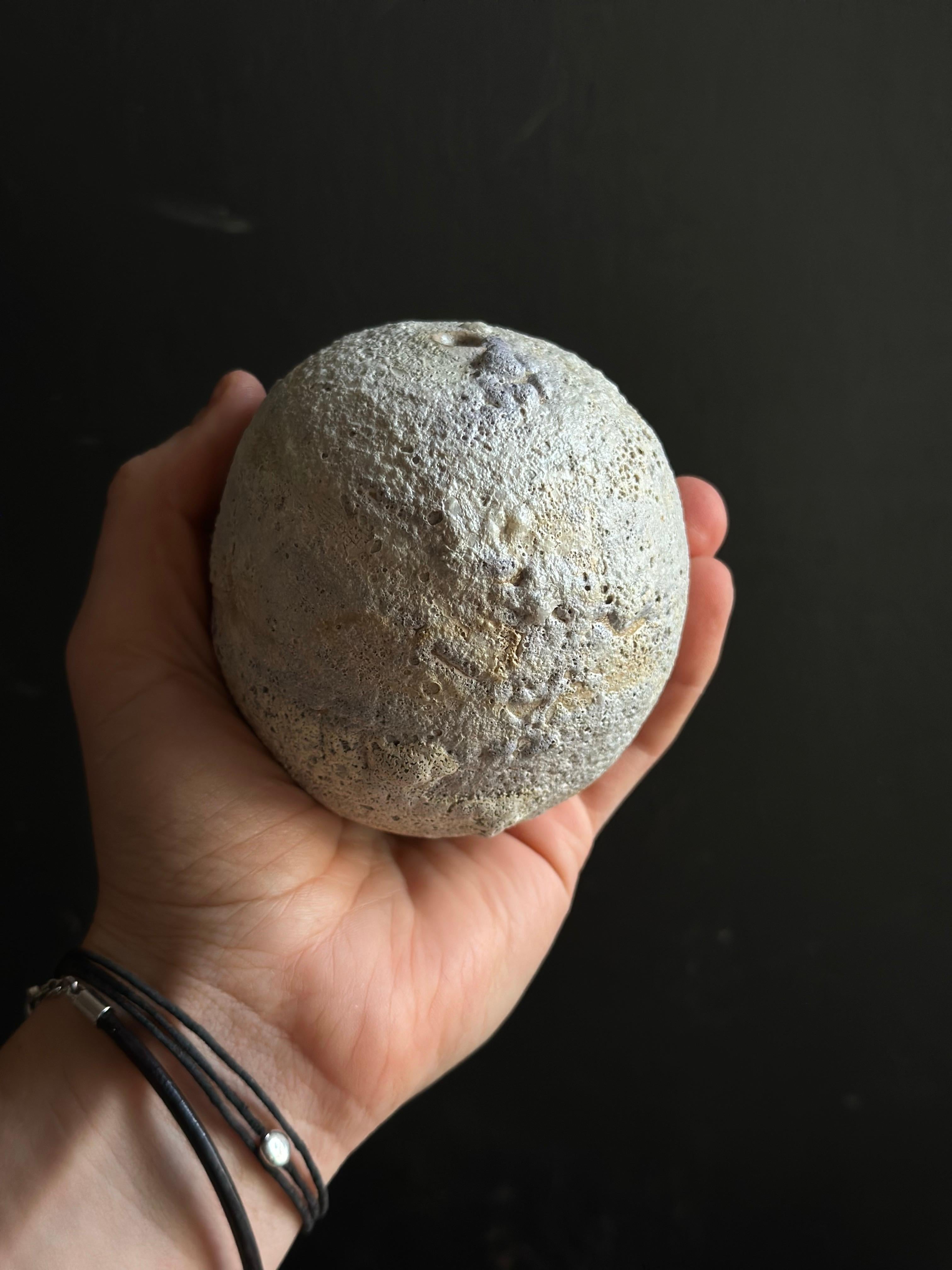 Caratterizzato da una texture morbida e invecchiata e da tonalità tenui della terra, questo vaso di germogli in ceramica si ispira alle forze erodenti del tempo e delle maree. Le sue dimensioni compatte e la sua finitura tattile la rendono