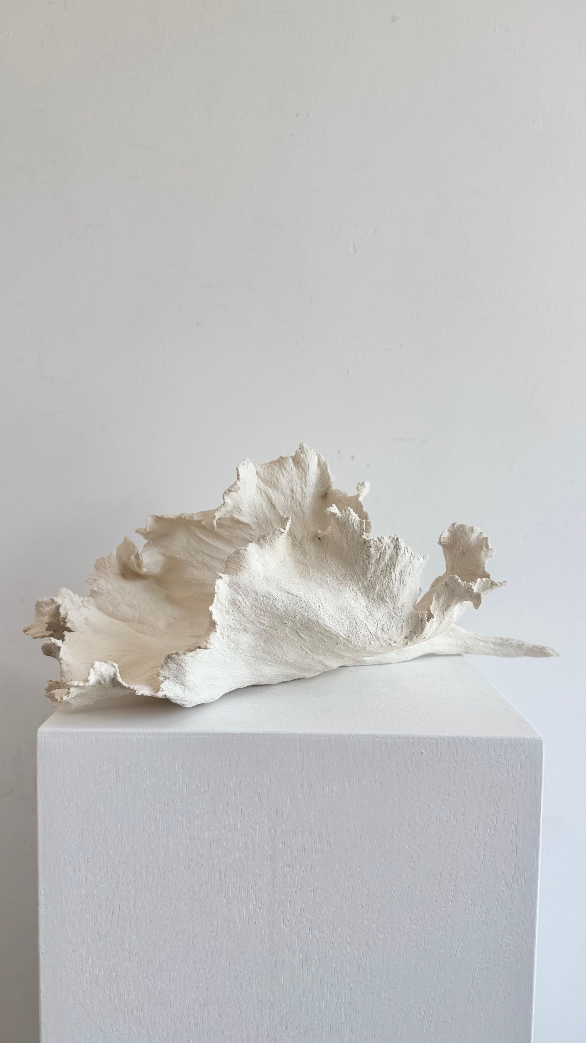 Mabel is a one of a kind porcelain hand built leaf sculpture. She is heavily textured with folds and crevices that make her mysterious and enticing with a different presence at each turn of her.

*Porcelain
*Handbuilt, 
*Handwash, doesn't hold