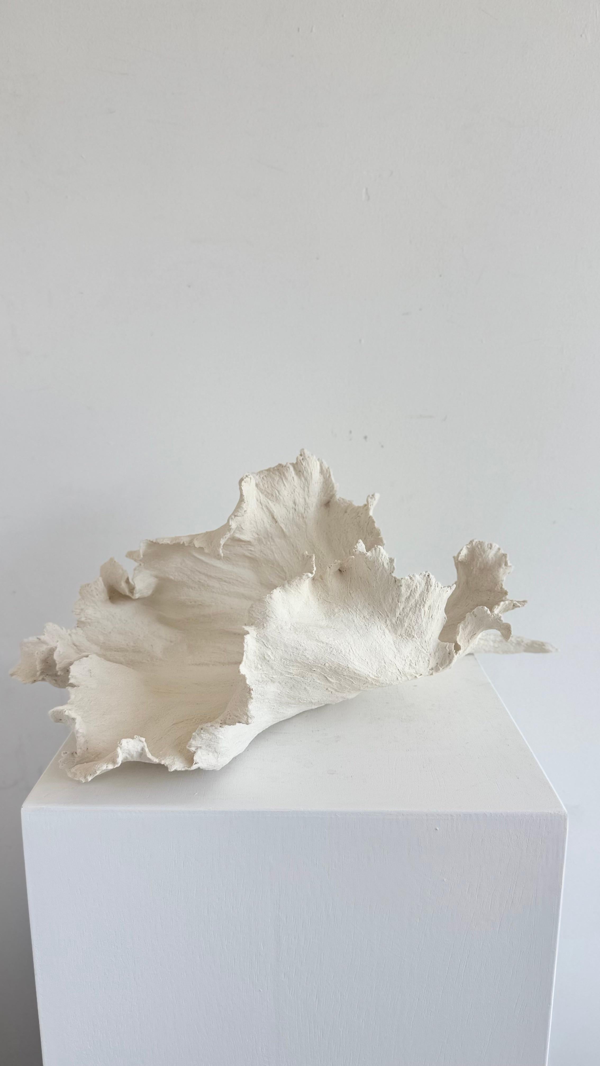 Textured Porcelain Sculpture Leaf- Mabel For Sale 1