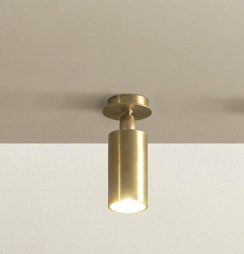 Lampada da soffitto TF500 in ottone satinato con diffusore tubolare regolabile di Daluce
Dimensioni: Ø 8 x H. 19 cm. 
Materiali: Ottone.

Disponibile in diverse finiture: ottone satinato chiaro, ottone satinato medio e ottone satinato scuro. Tutte