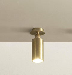 Lámpara de techo TF500 de latón satinado con difusor tubular ajustable by Daluce