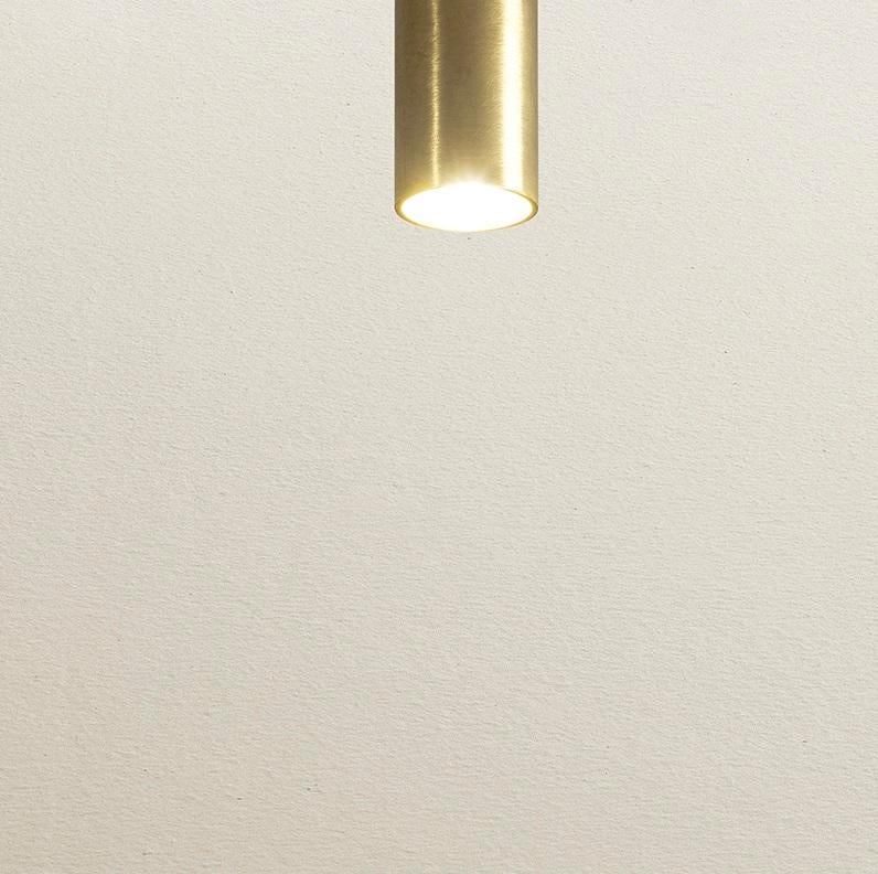 Italiano Lampada da soffitto TF500 in ottone satinato con diffusore tubolare regolabile di Daluce in vendita