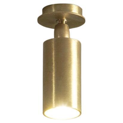 TF500 Ceiling Lamp in Satin Brass with an Adjustable Tubular Diffuser by Daluce