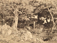 Chenes de Roche II, acquaforte impressionista di Théodore Rousseau