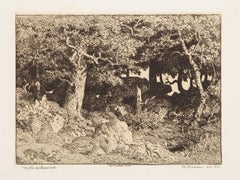 Chenes de Roche, Impressionist Etching by Théodore Rousseau