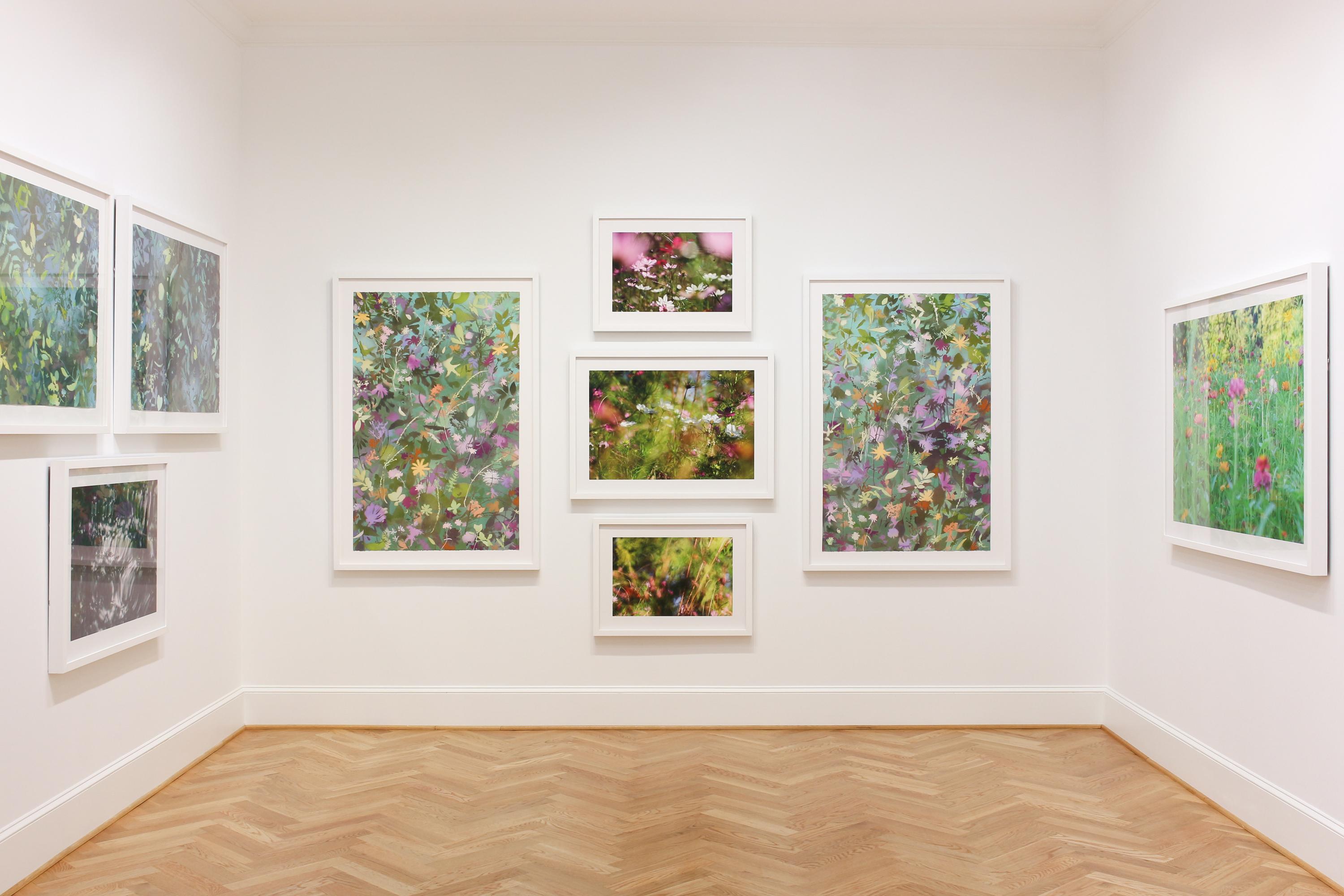 'Herbstblüte' - abstrakte Landschaftsfotografie, farbenfroh, Kosmos, warme Farben – Photograph von Thad Lee