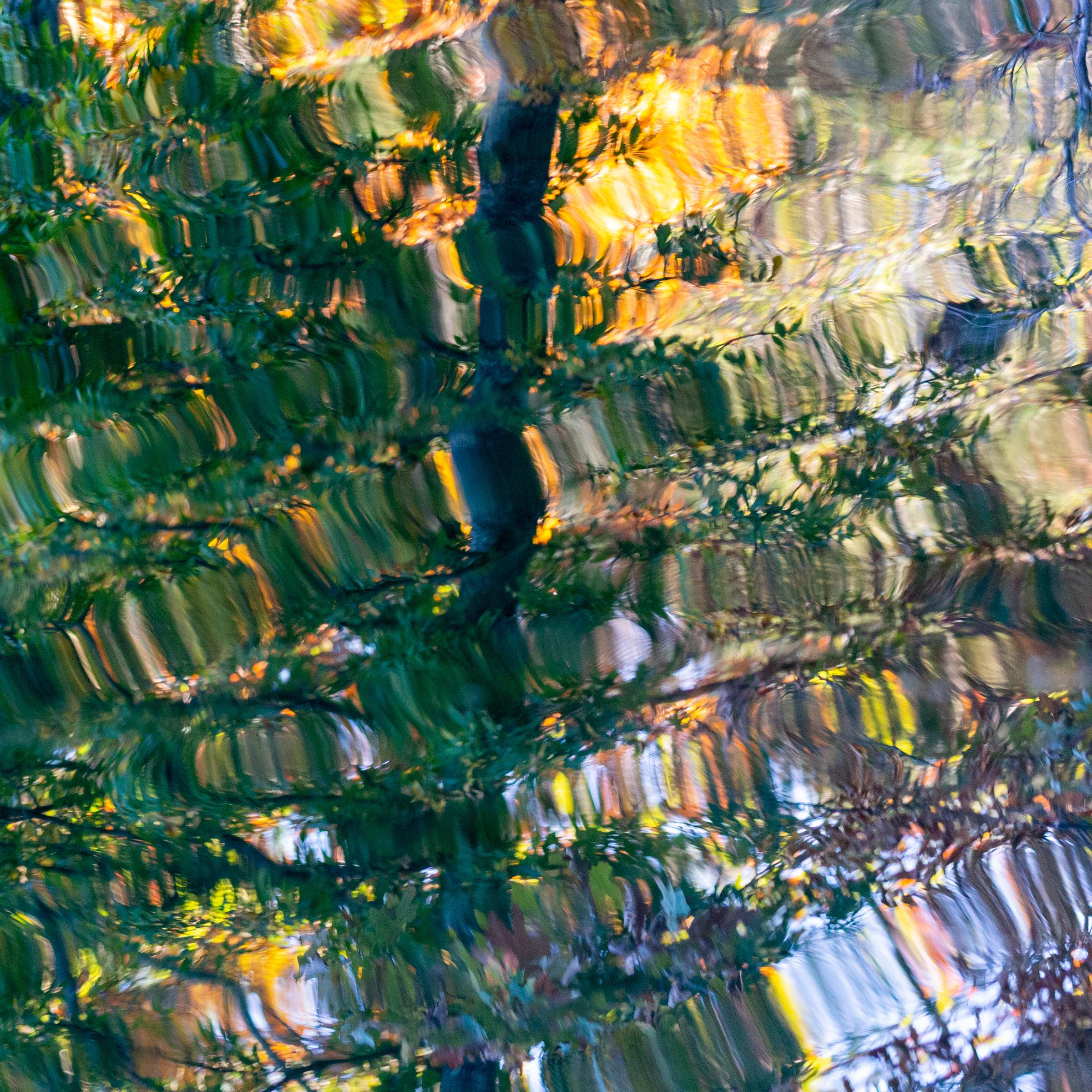'Fall Pool' - Abstrakte Landschaftsfotografie - Wasser - Muster - Lebendige Farben – Photograph von Thad Lee