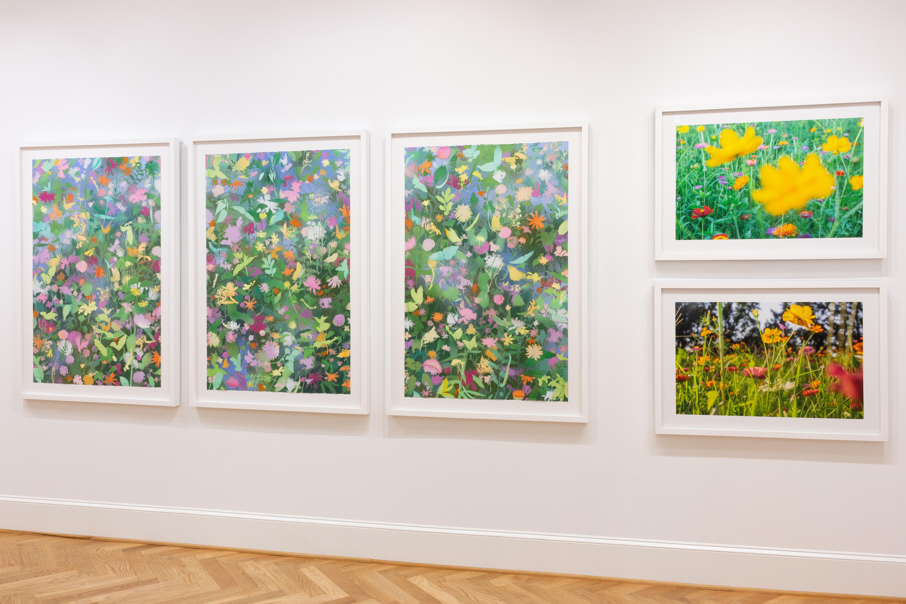 „Shaded Cosmos and Zinnias“ – abstrakte Landschaftsfotografie – floral – farbenfroh (Zeitgenössisch), Photograph, von Thad Lee
