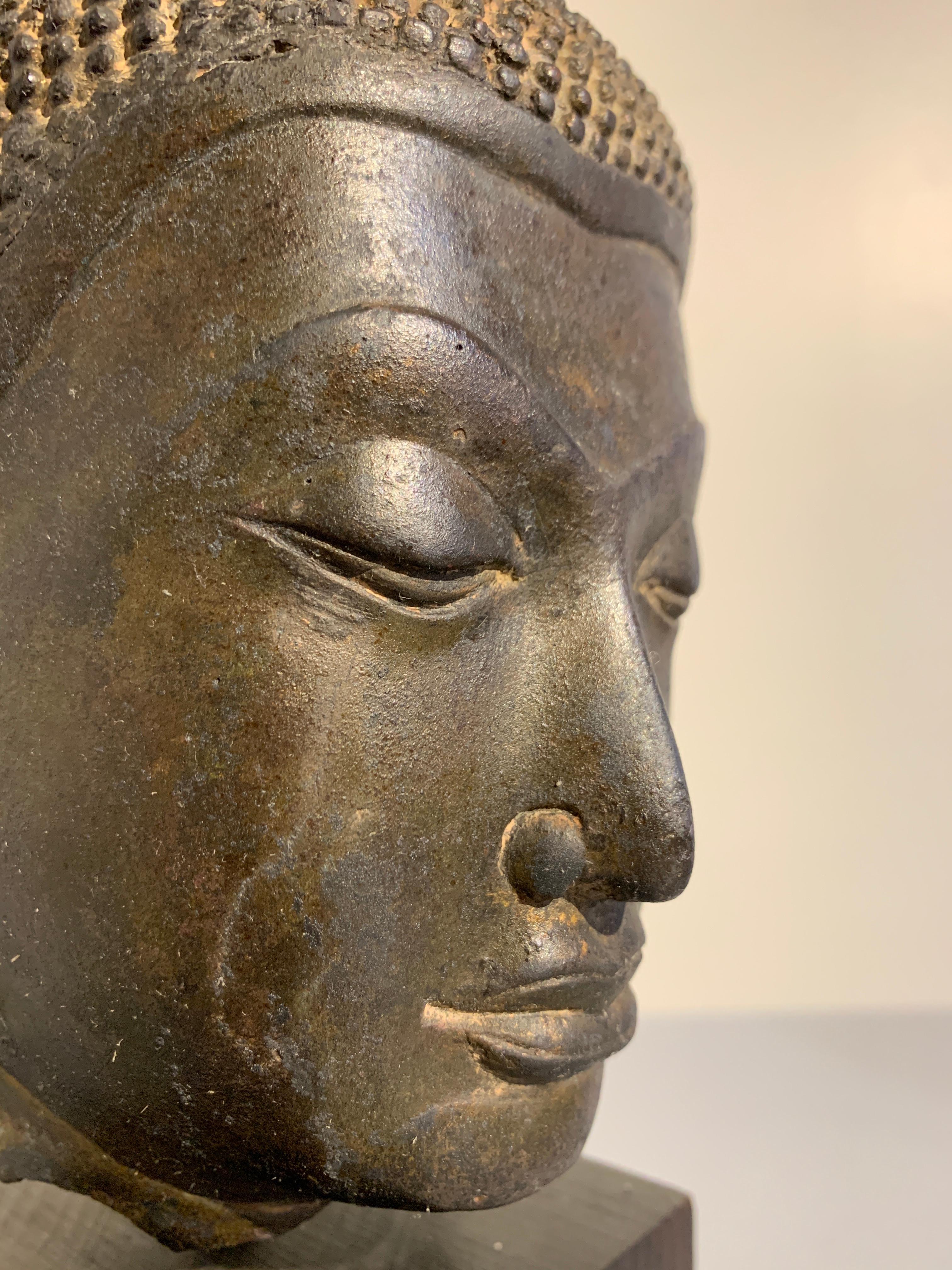 Thai Ayutthaya Bronze Buddha Head, U-Thong C Style, 14th-15th Century 2