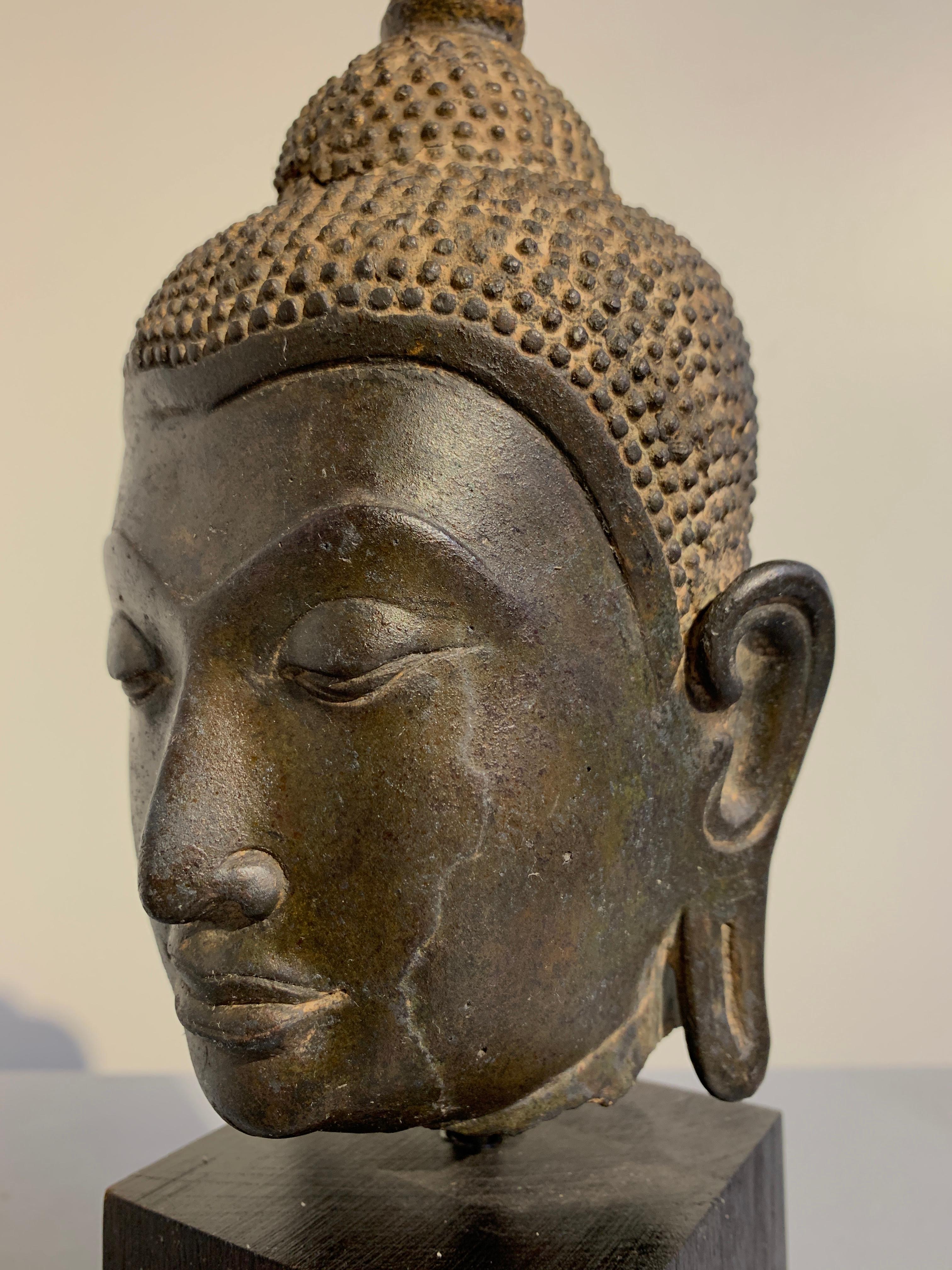 Thai Ayutthaya Bronze Buddha Head, U-Thong C Style, 14th-15th Century In Fair Condition In Austin, TX