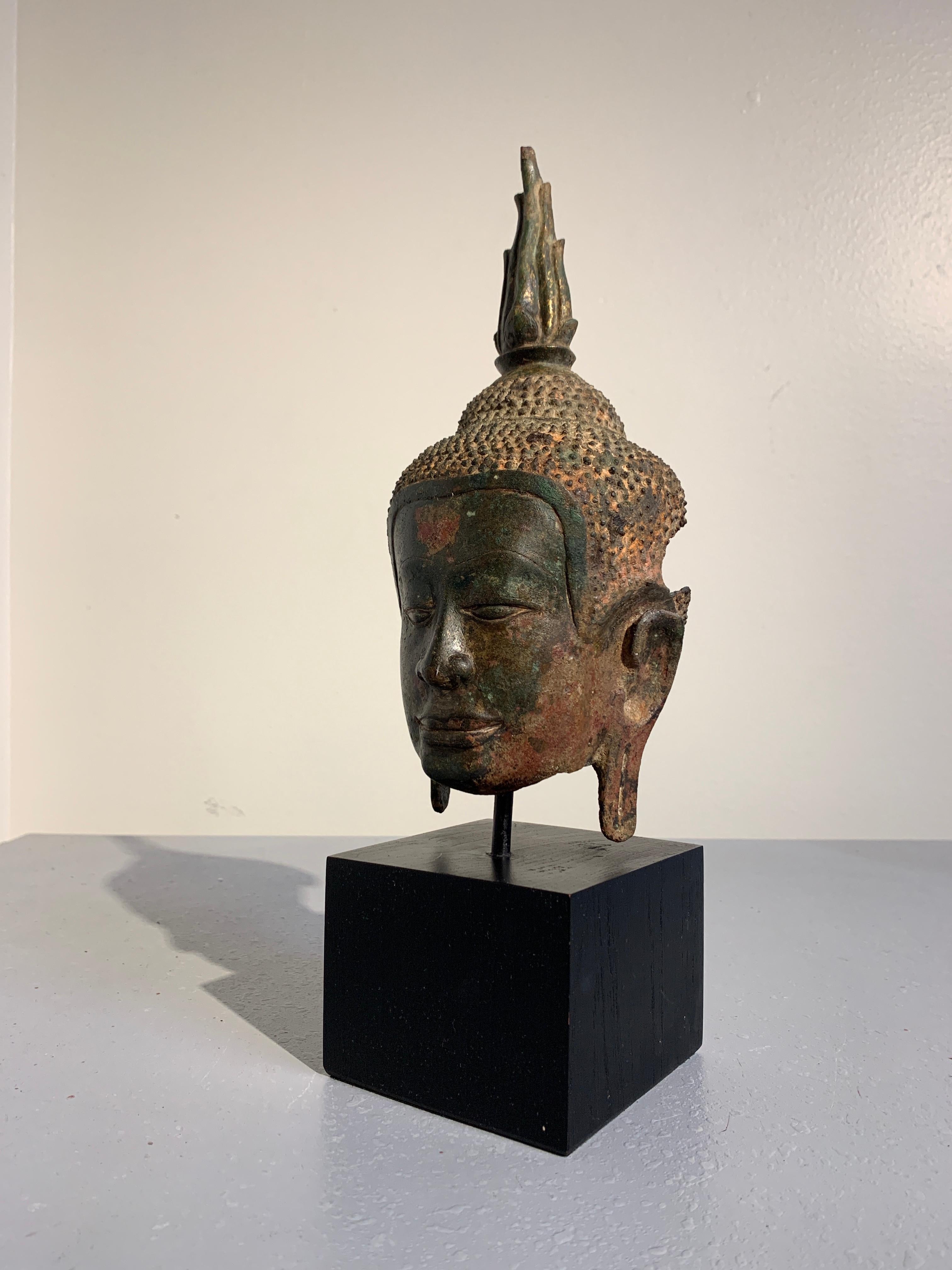 ayutthaya buddha head