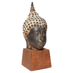 Testa di Buddha tailandese in bronzo