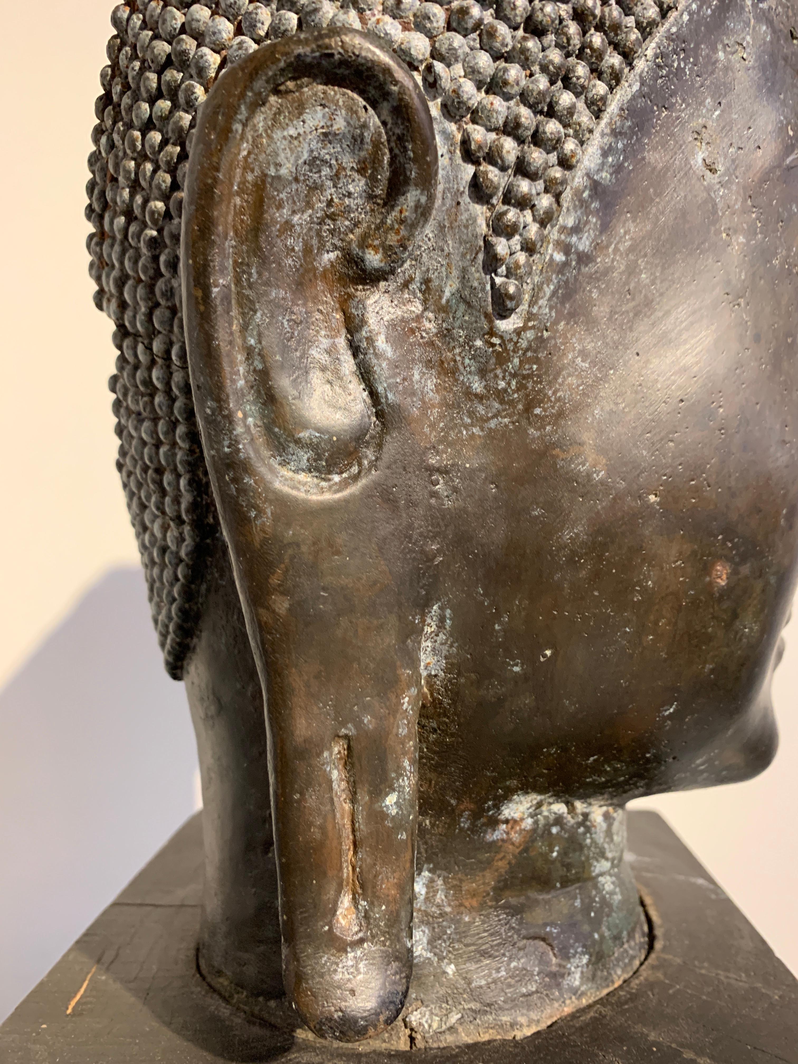 Thai Bronze Head of the Buddha, Ayutthaya U-Thong Style, 14th-15th Century 7