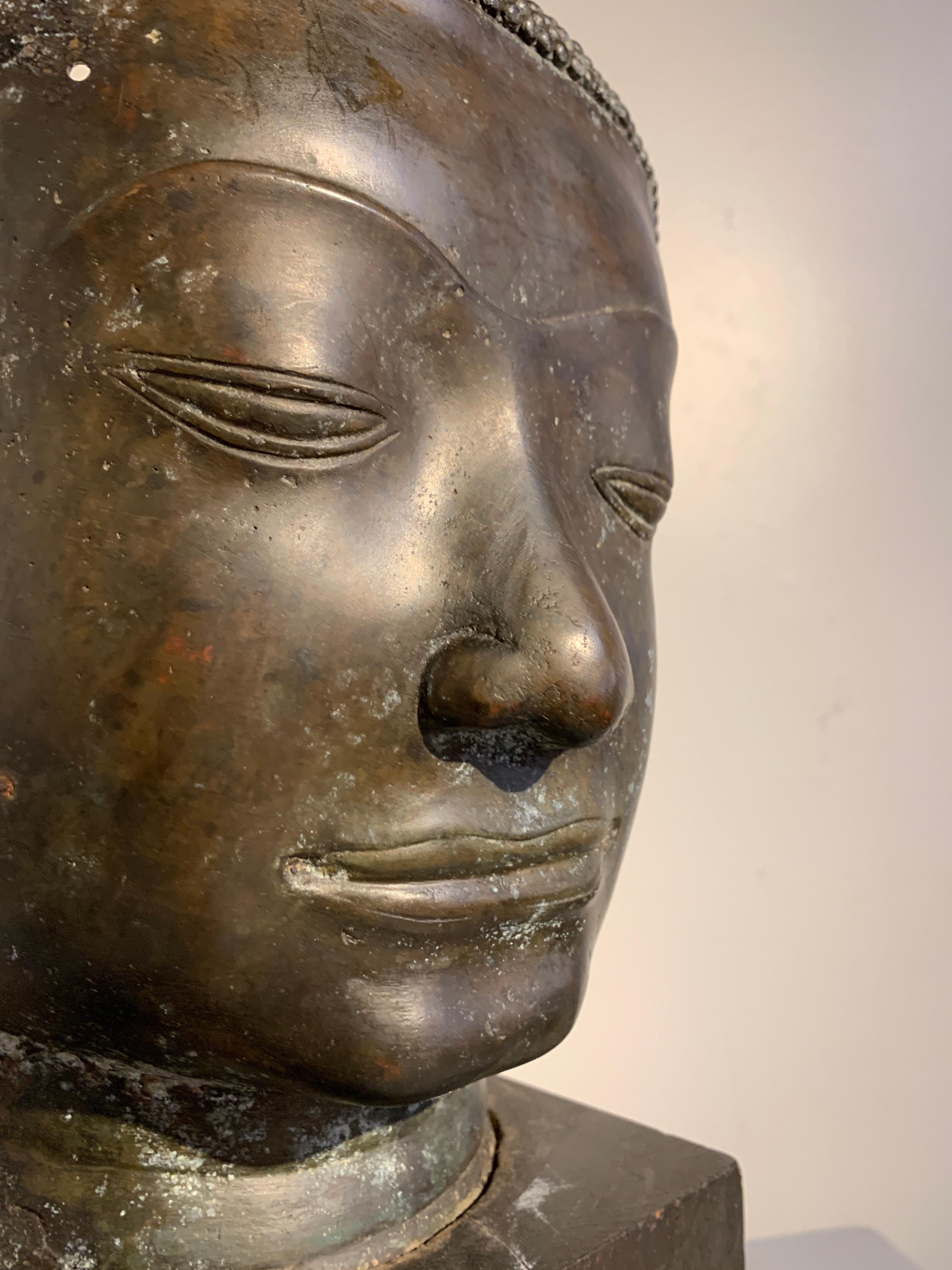 Thai Bronze Head of the Buddha, Ayutthaya U-Thong Style, 14th-15th Century 8