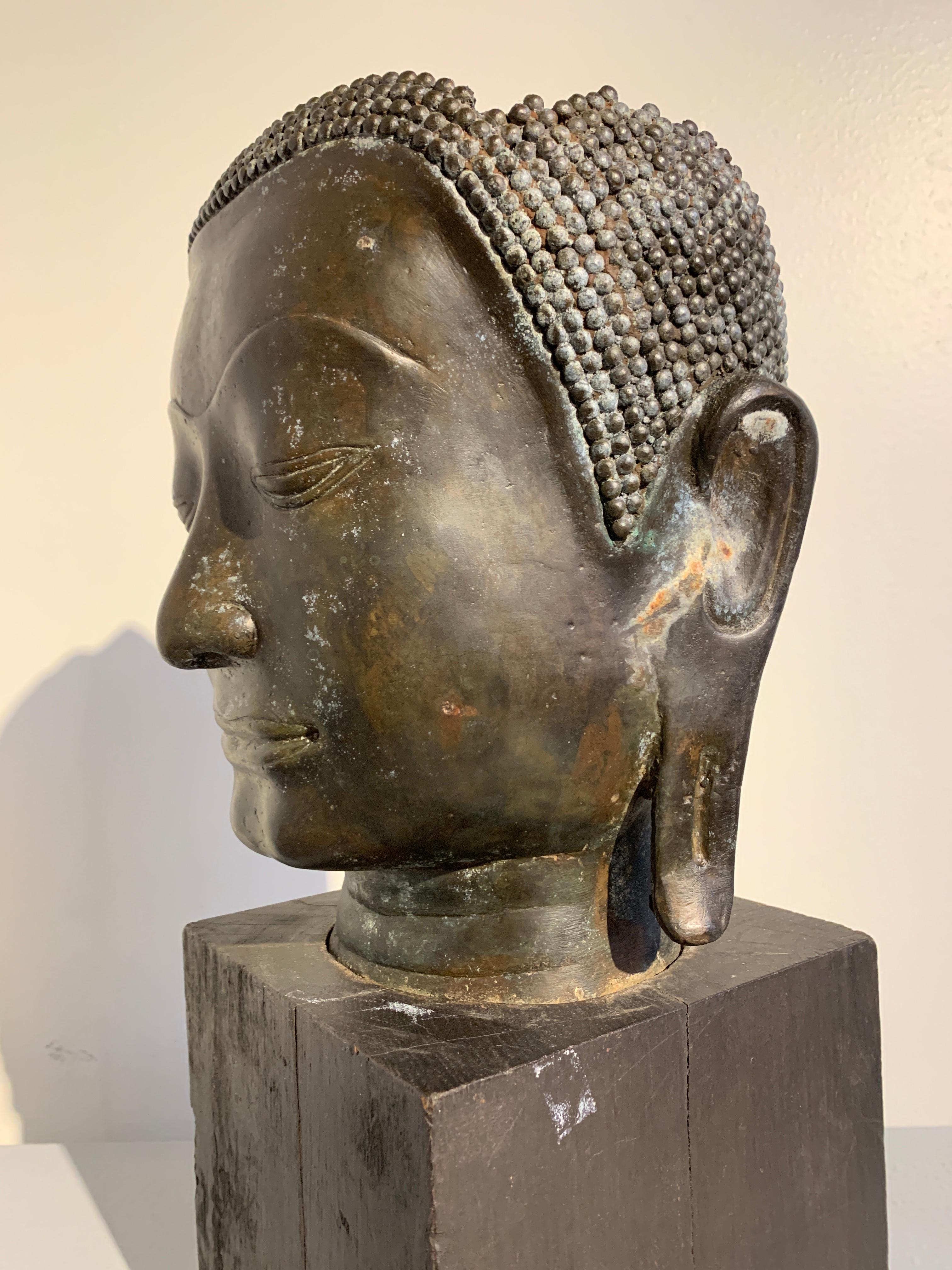 Thai Bronze Head of the Buddha, Ayutthaya U-Thong Style, 14th-15th Century 4