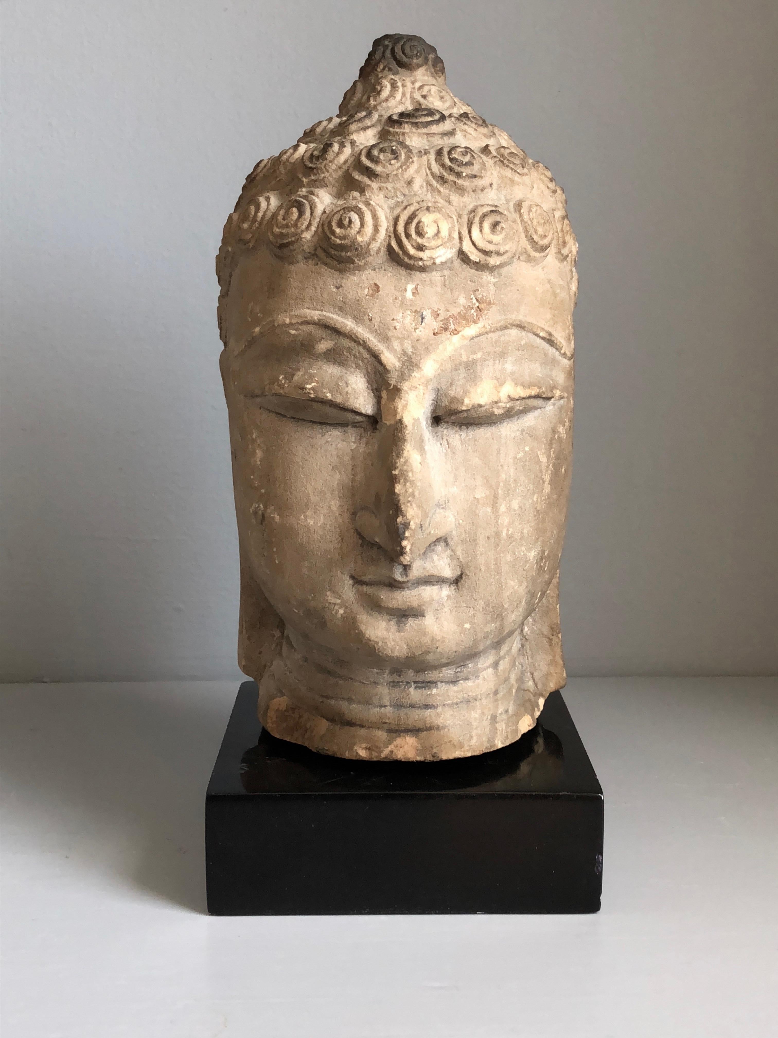 ayutthaya buddha head