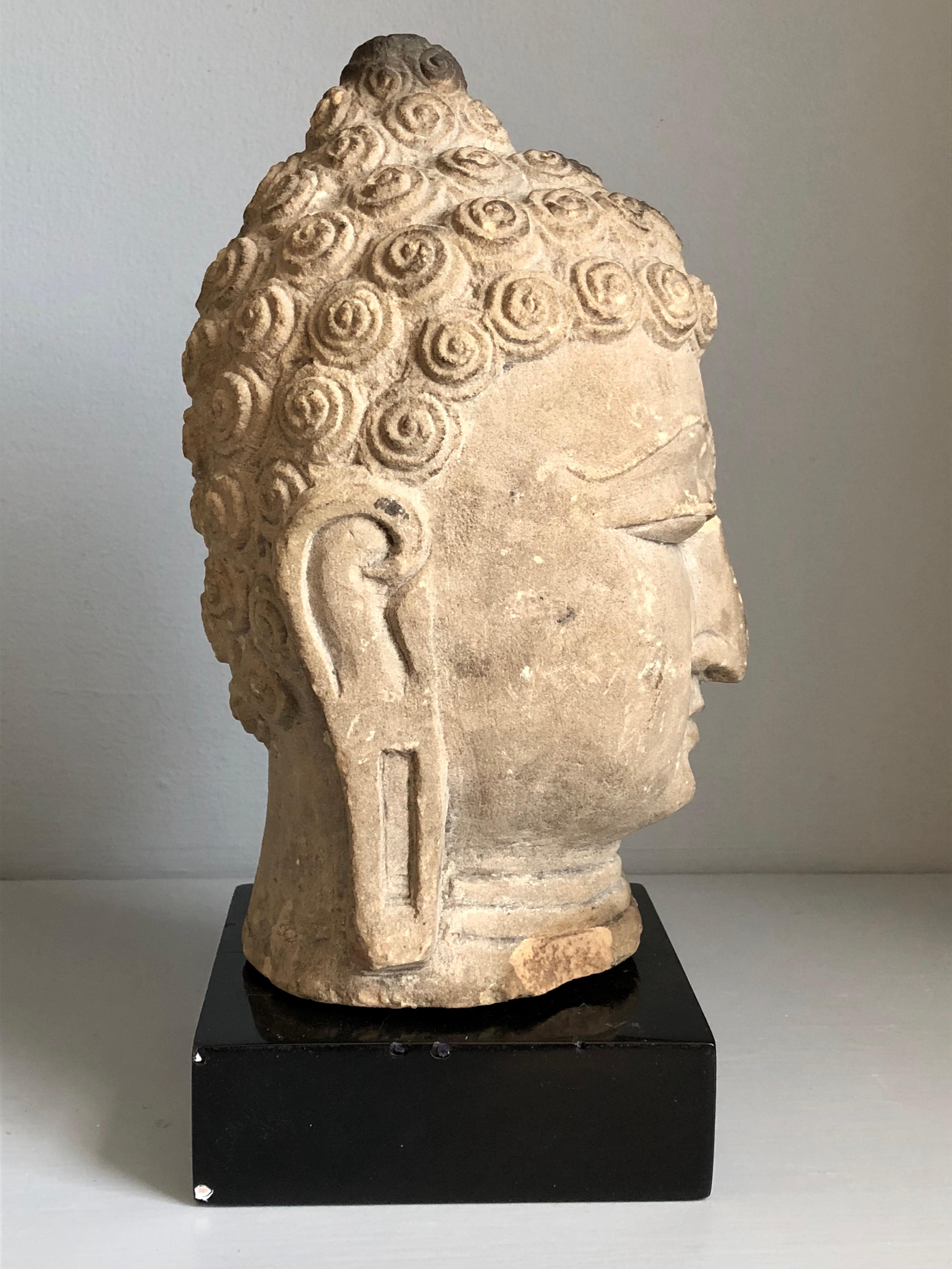 Thai Buddha Head, Ayutthaya Period In Good Condition In Doylestown, PA